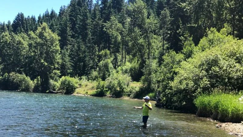 Person in a hat wades in a river surrounded by dense green trees and forest.