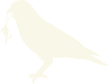 Crow Creek Fly Shop &amp; Guide Service