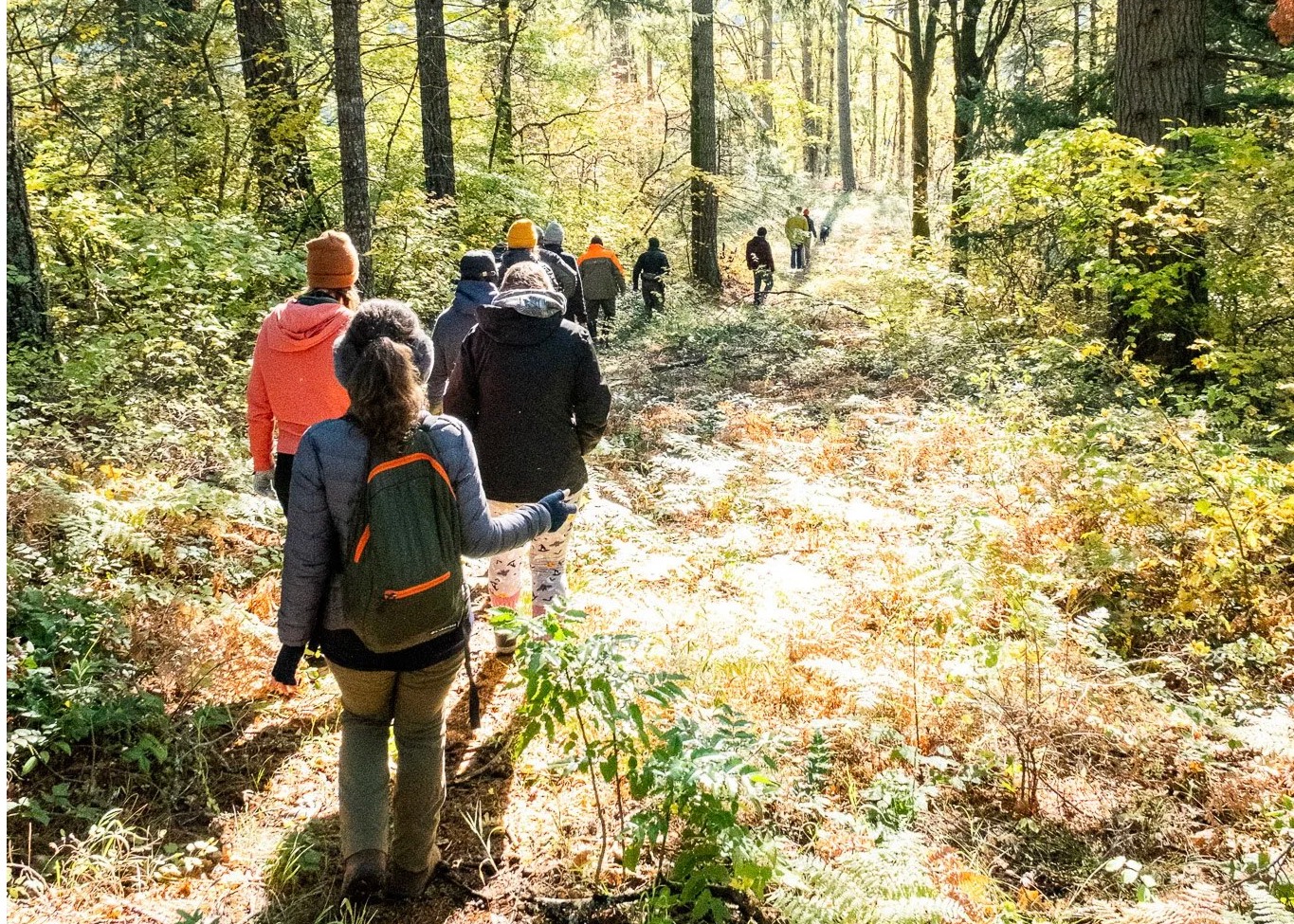 A group of people hiking through a forested trail with sunlight filtering through trees.