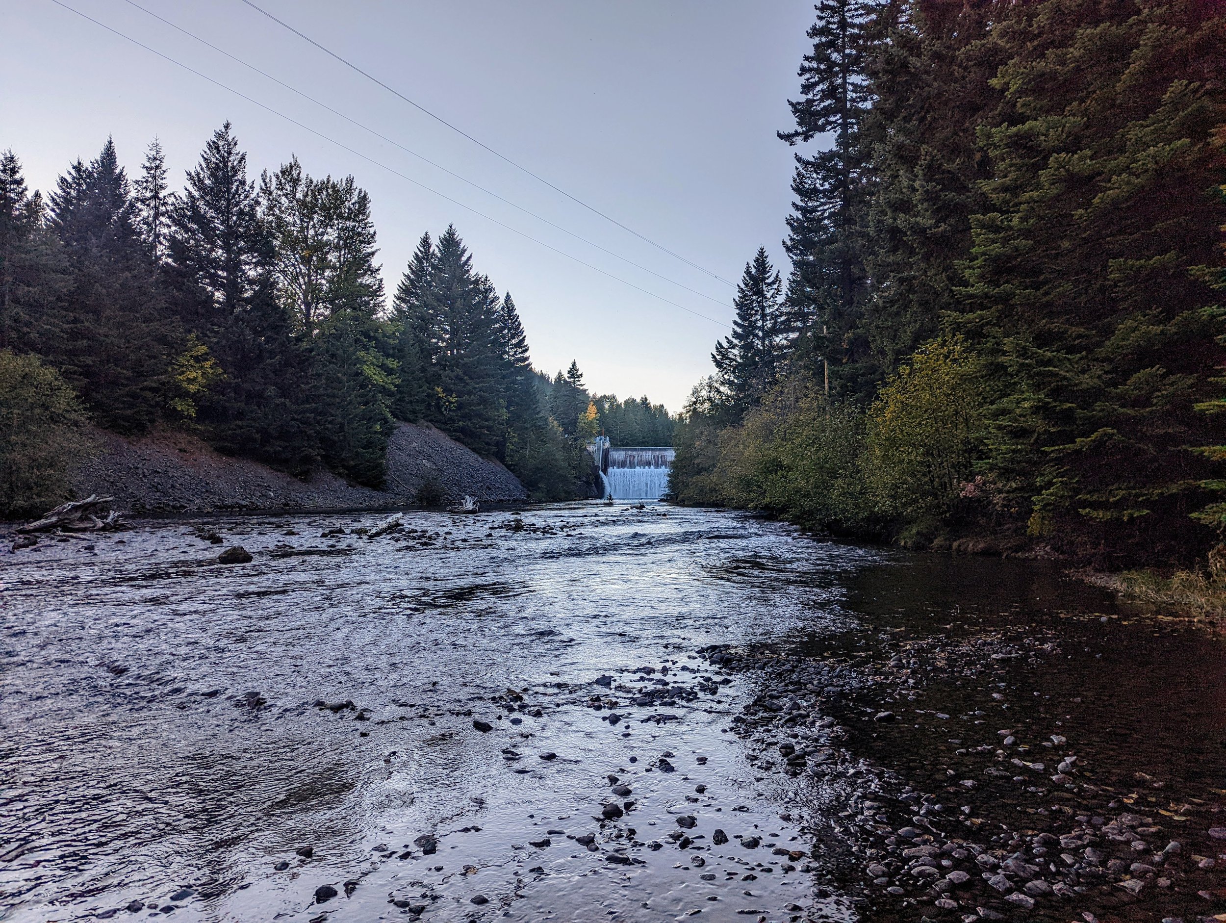 A river flowing through a forest with a small dam in the distance under a clear sky.