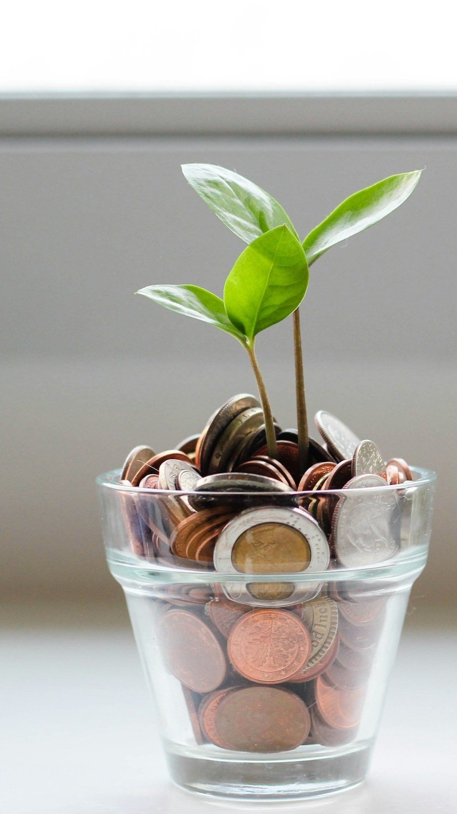 A small green plant growing from a glass filled with coins.