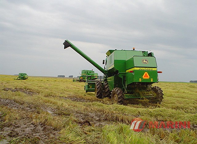 Colheitadeira agrícola verde em campo de grãos, com terra molhada ao redor, céu nublado ao fundo.