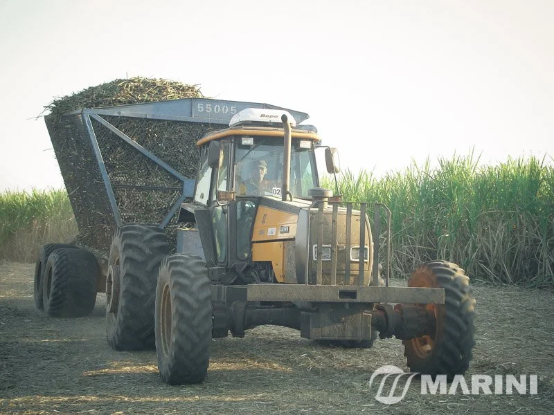 Máquina agrícola carregando cana-de-açúcar em um campo