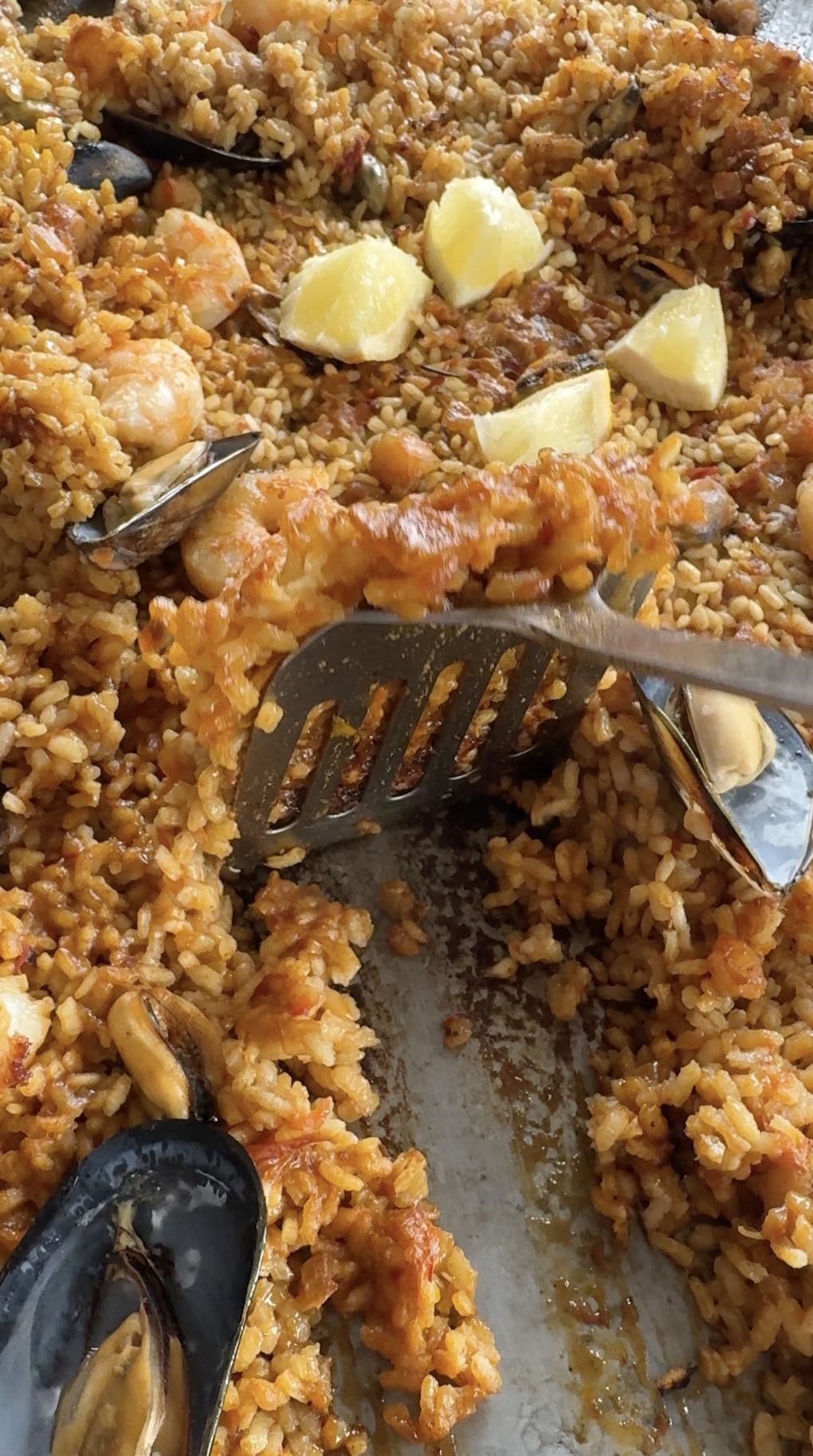 The Alchemy of Fire: The Secret to the Perfect Socarrat