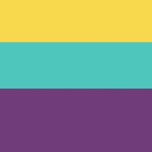 5_SQAL_Accessorize_1x1.gif