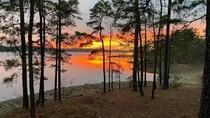 images.jpg