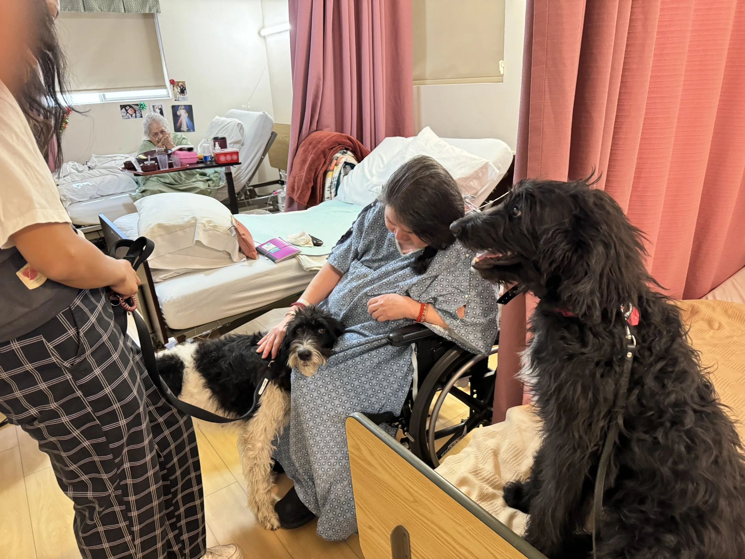 Dogs getting love and showing off their training during a PET Project meet and greet.