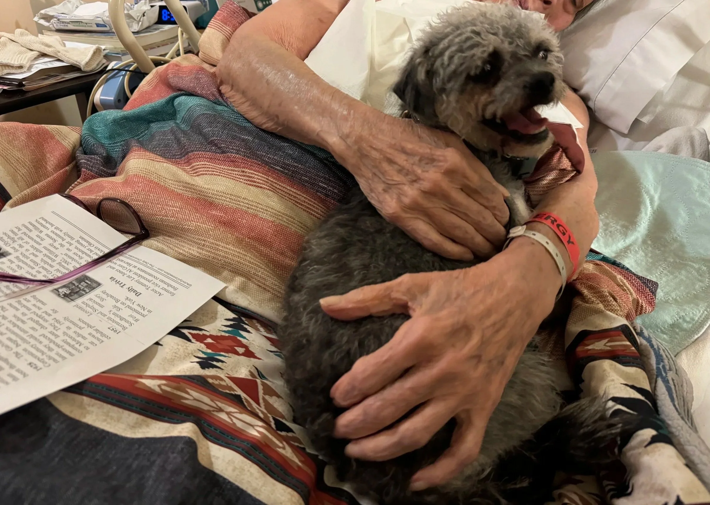 Dogs getting love and showing off their training during a PET Project meet and greet.