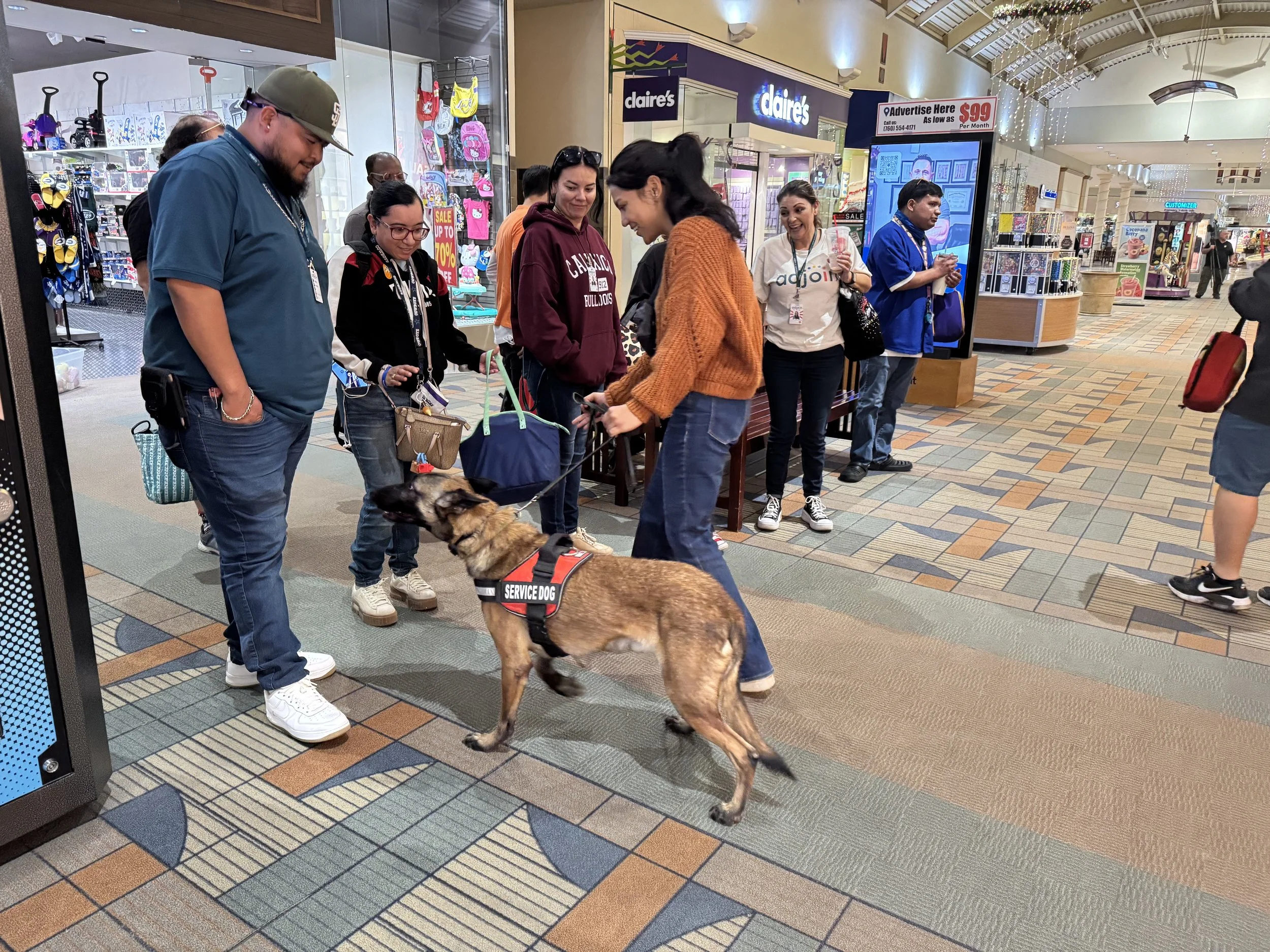 Dogs getting love and showing off their training during a PET Project meet and greet.