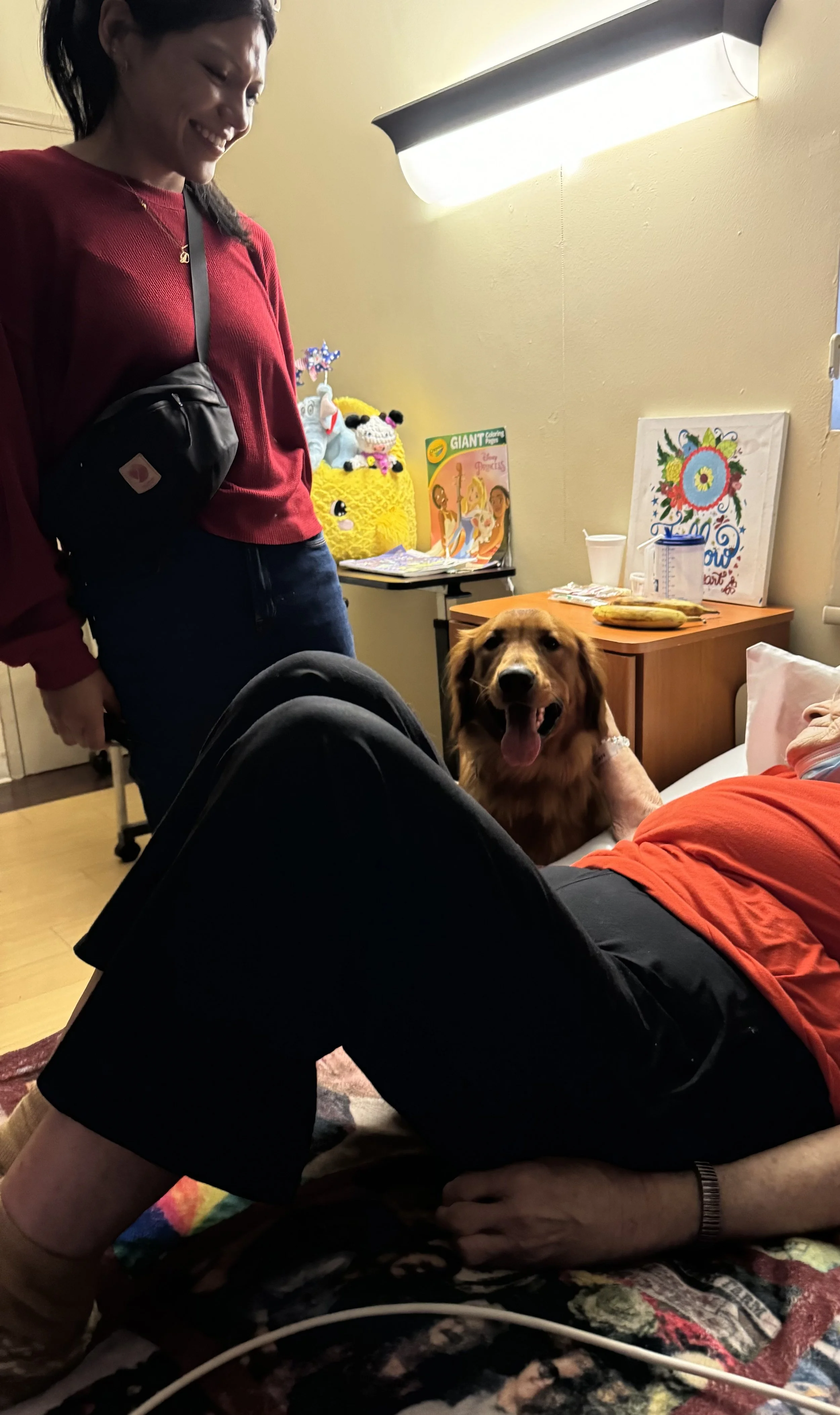 Dogs getting love and showing off their training during a PET Project meet and greet.