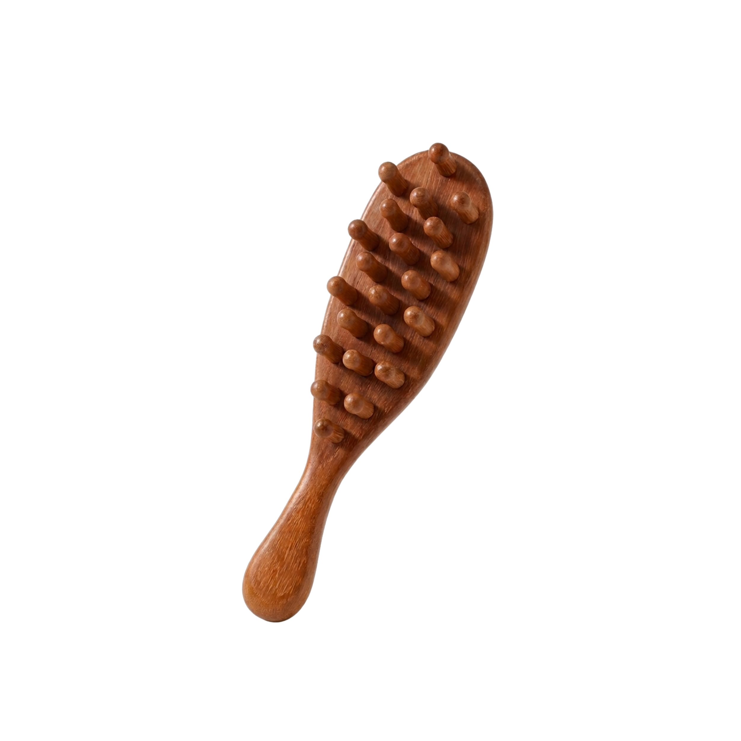 Untitled (Shopee Product Carousel).png