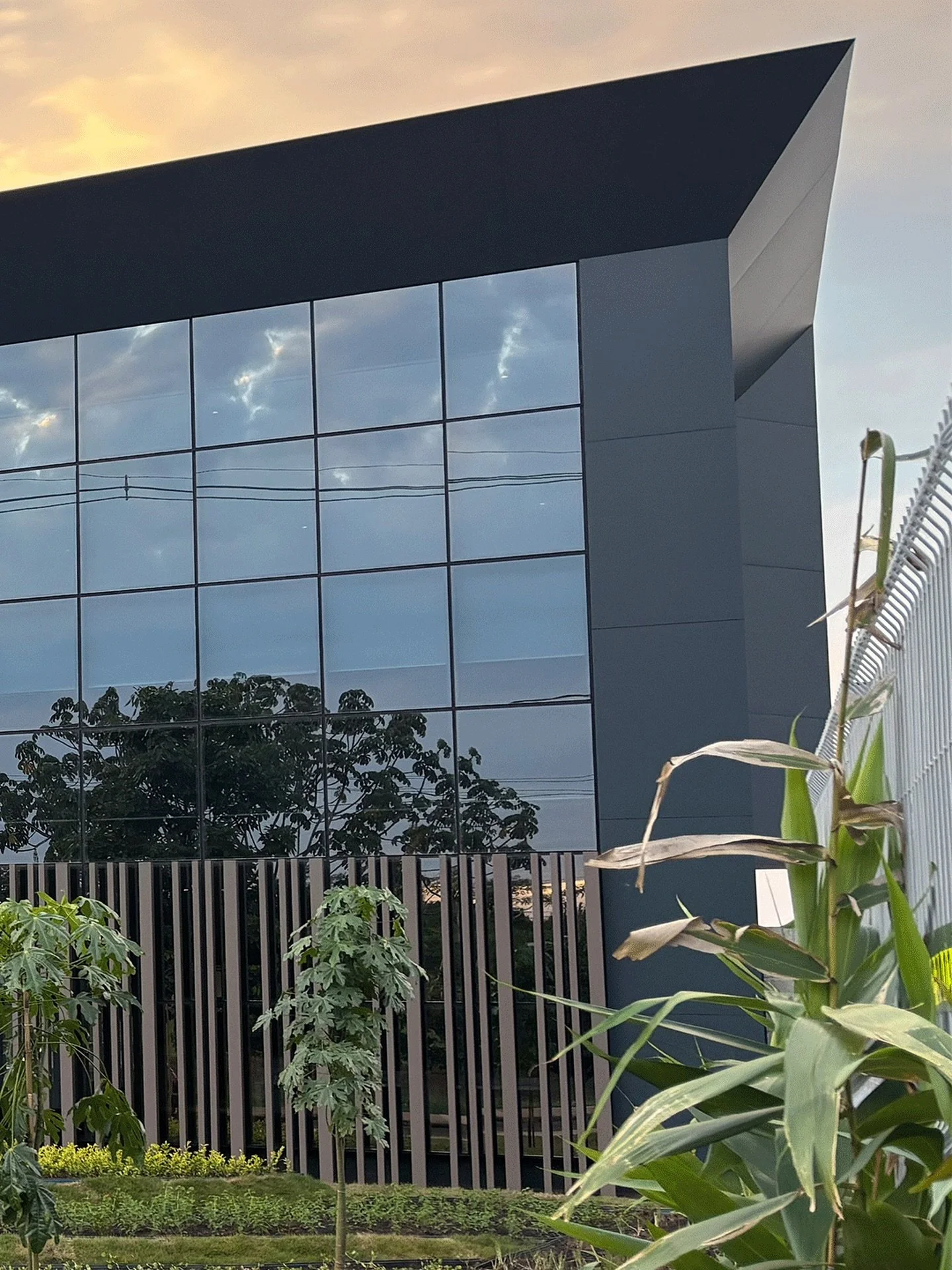 💎 Mais uma grande obra entregue com excelência!
Este prédio comercial foi construído desde o alicerce ao acabamento para a Tereos, uma das maiores empresas do setor sucroenergético do mundo — e é motivo de or