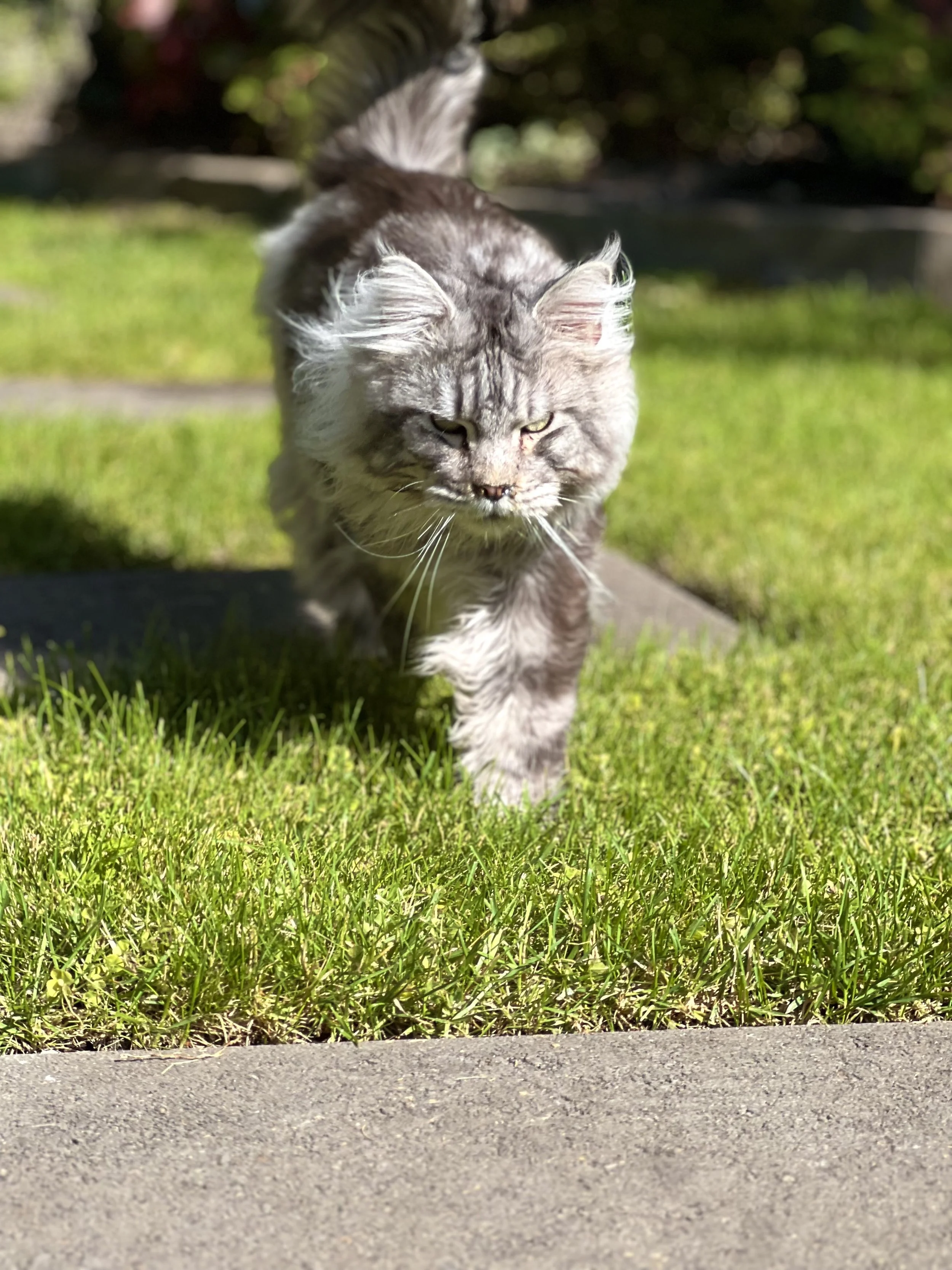 IMG_8528.jpeg