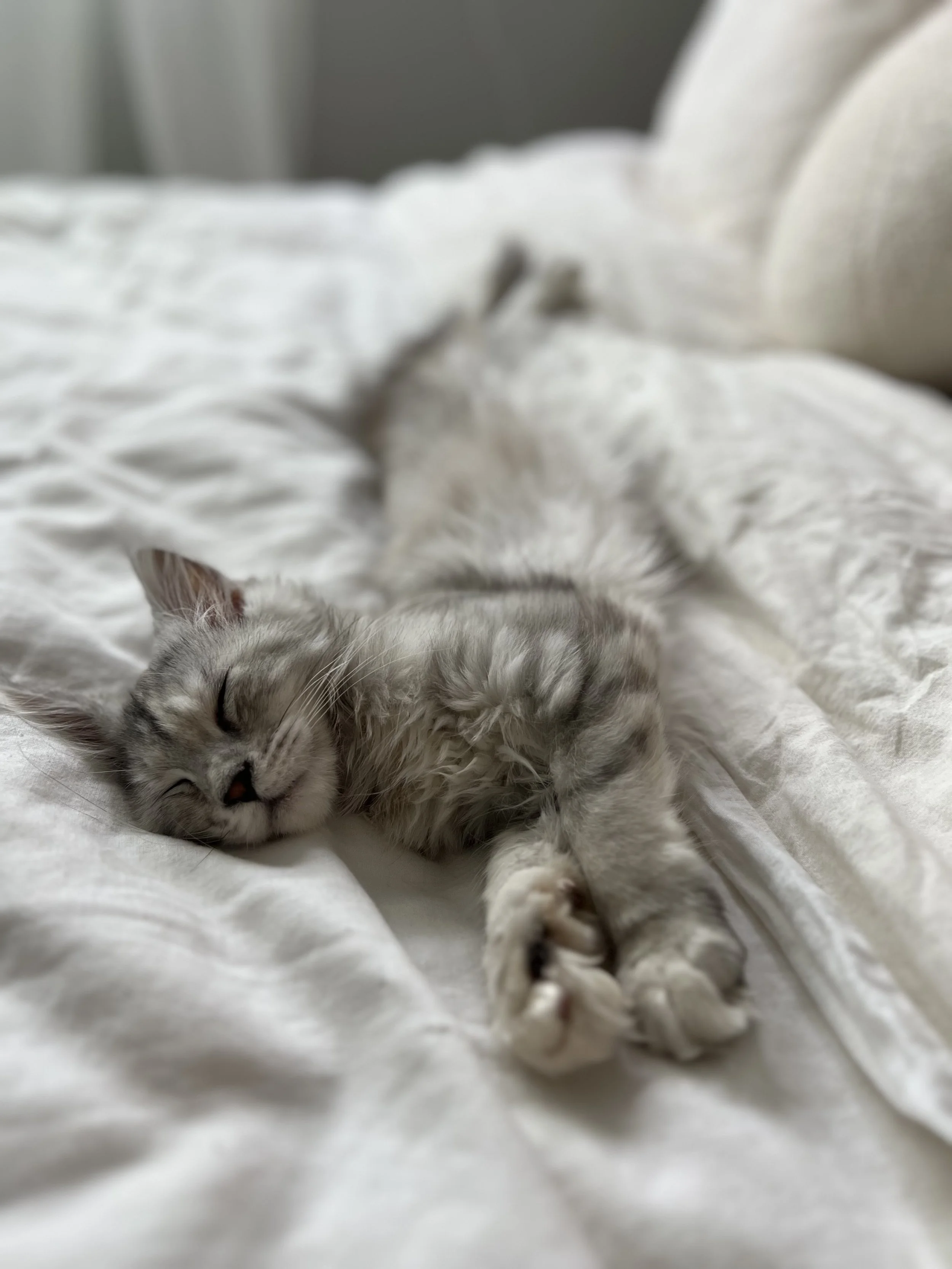 Kiki