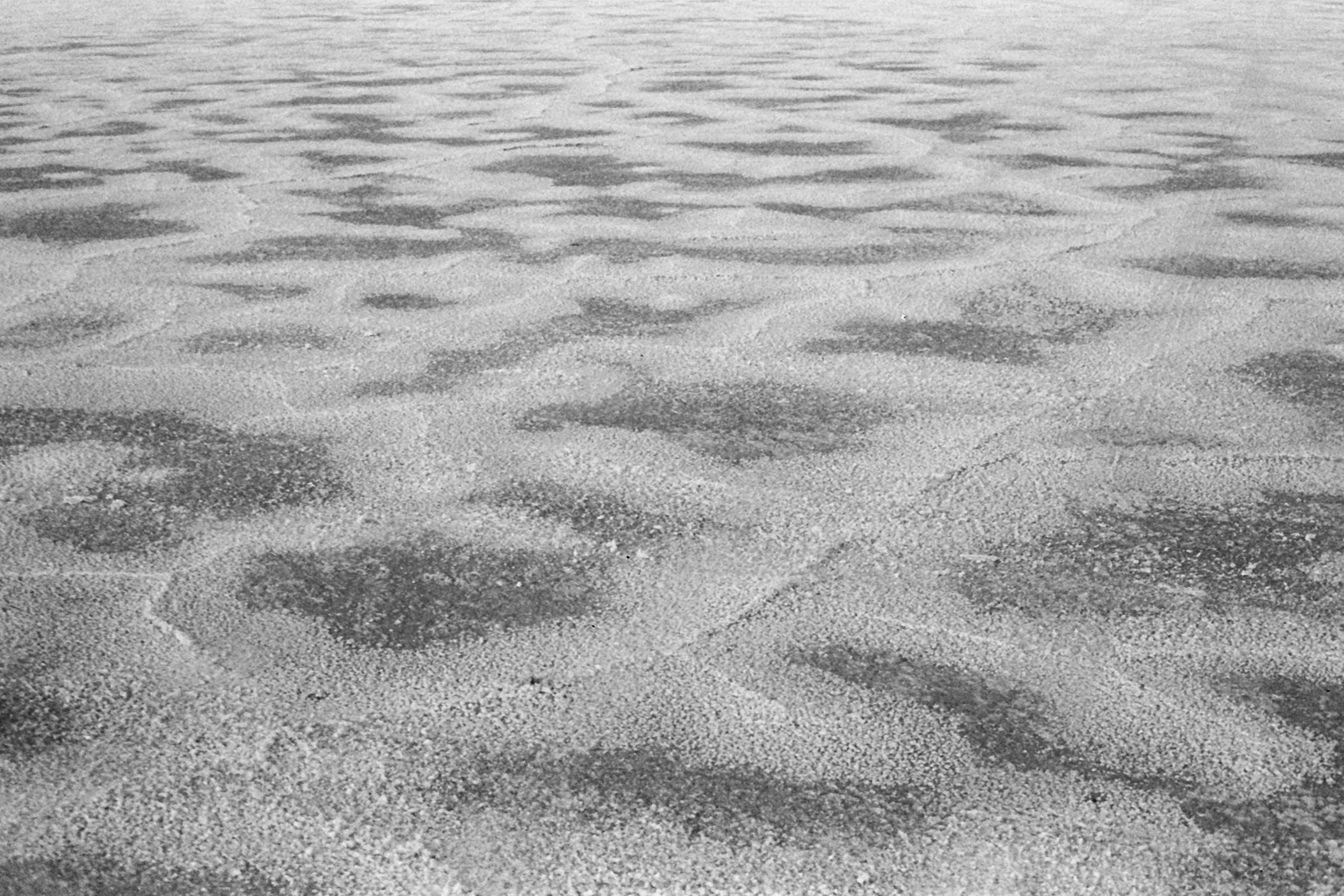 Photos00086415.jpg