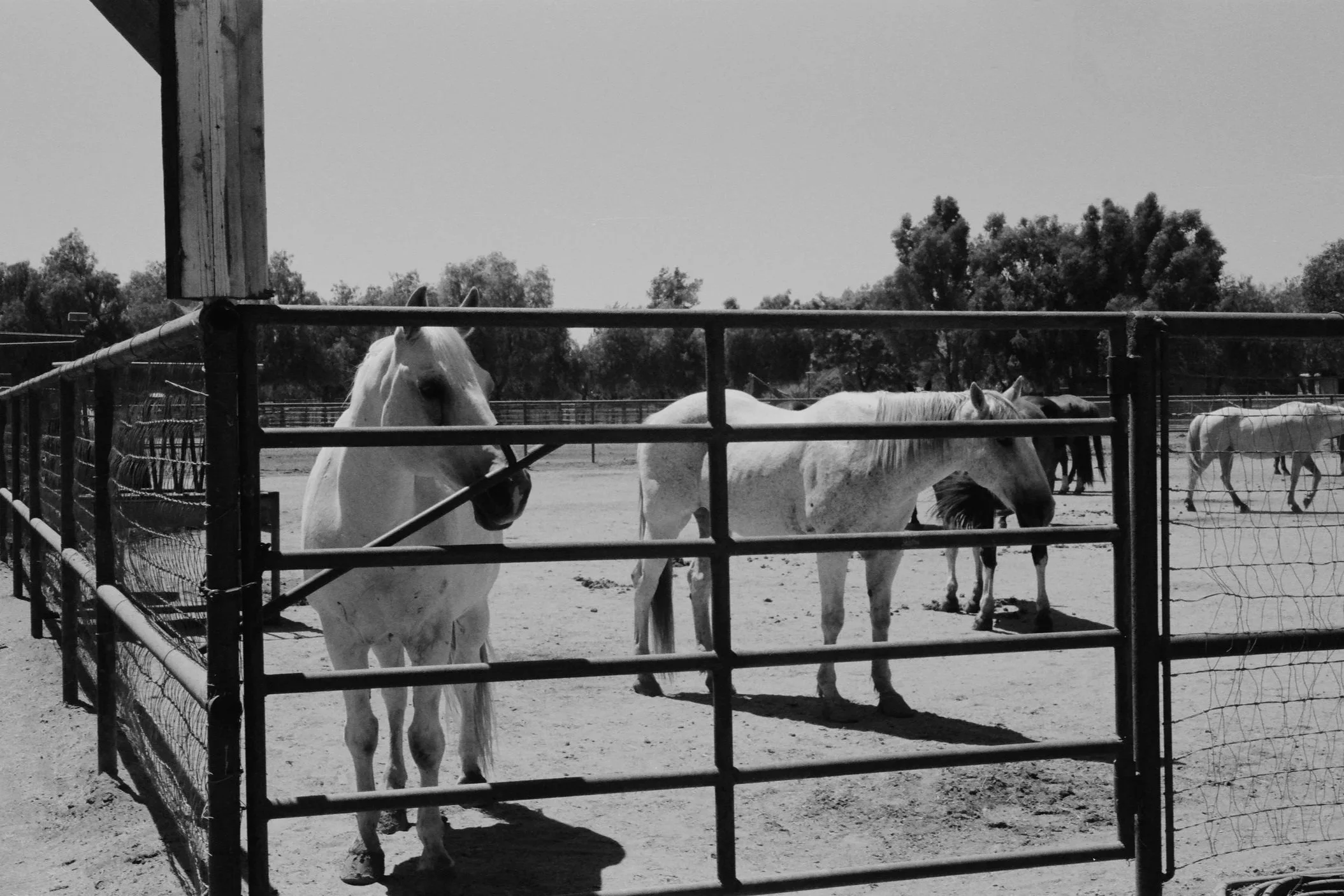 Photos00086445.jpg