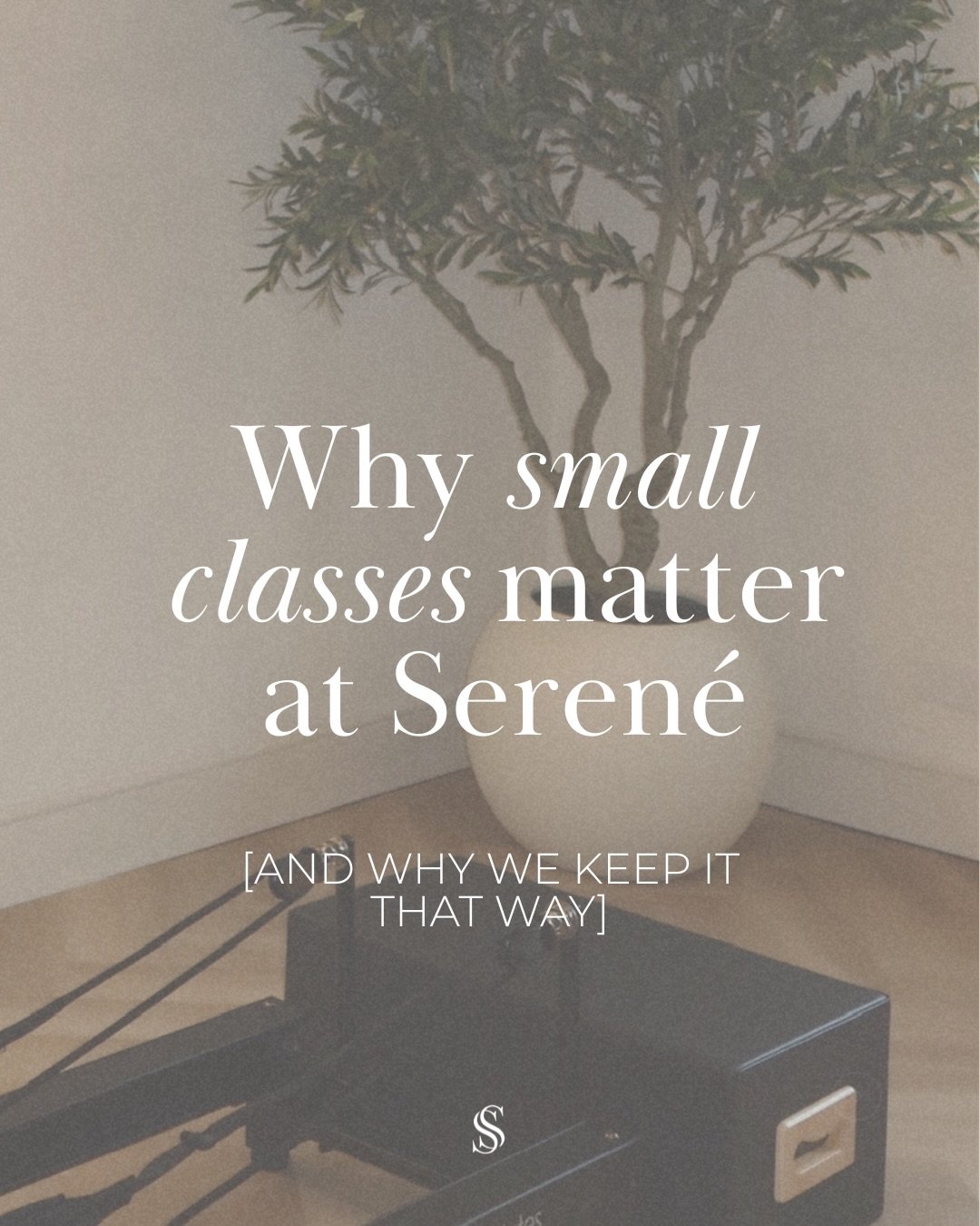Small classes are one of the most intentional choices we&rsquo;ve made at Seren&eacute;.

With just five reformers in each class, our instructors have the time and space to properly support every client. Noticing alignment, offering gentle correction