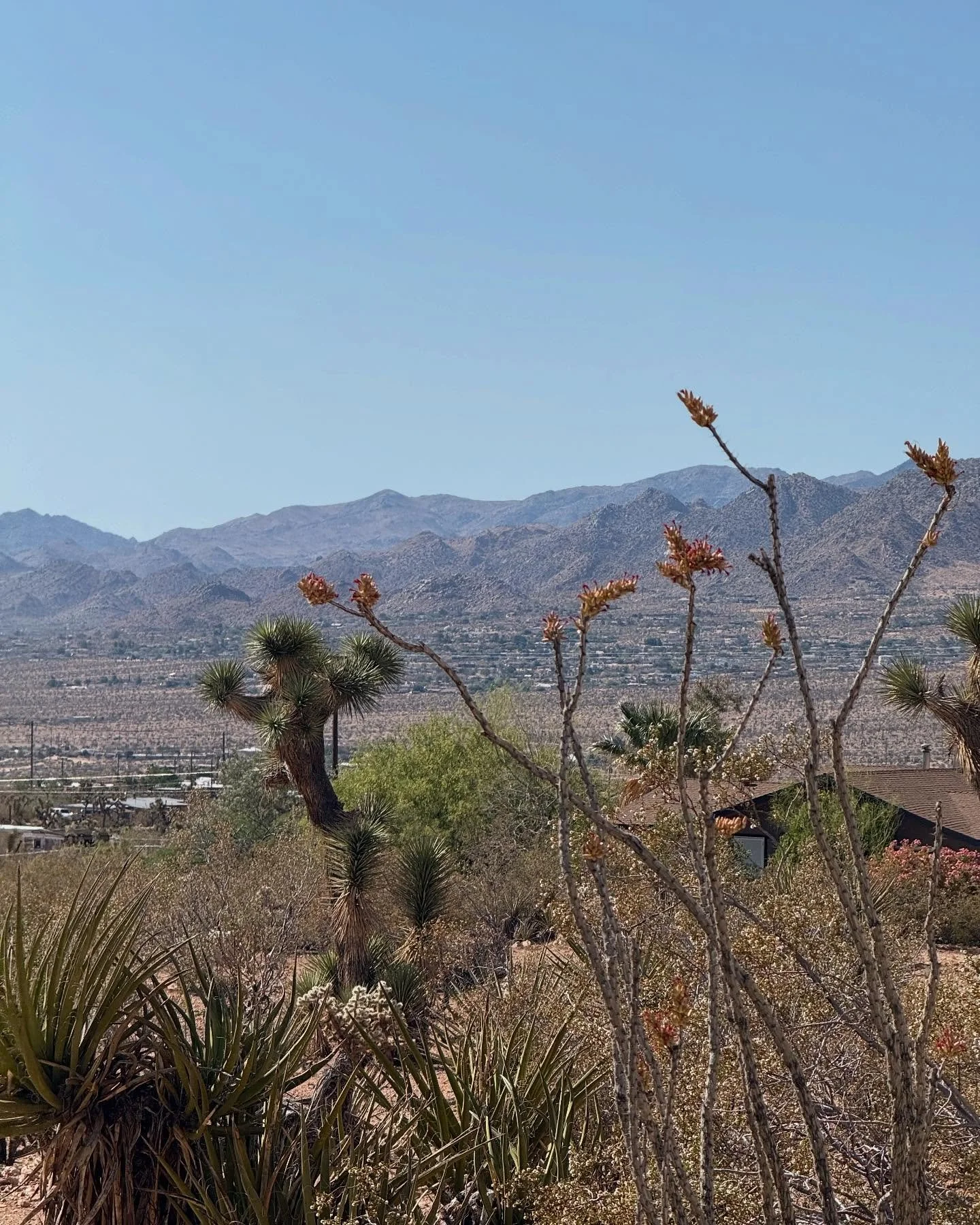 entered my 30s surrounded by love &amp; a newfound obsession with the high desert 🌵