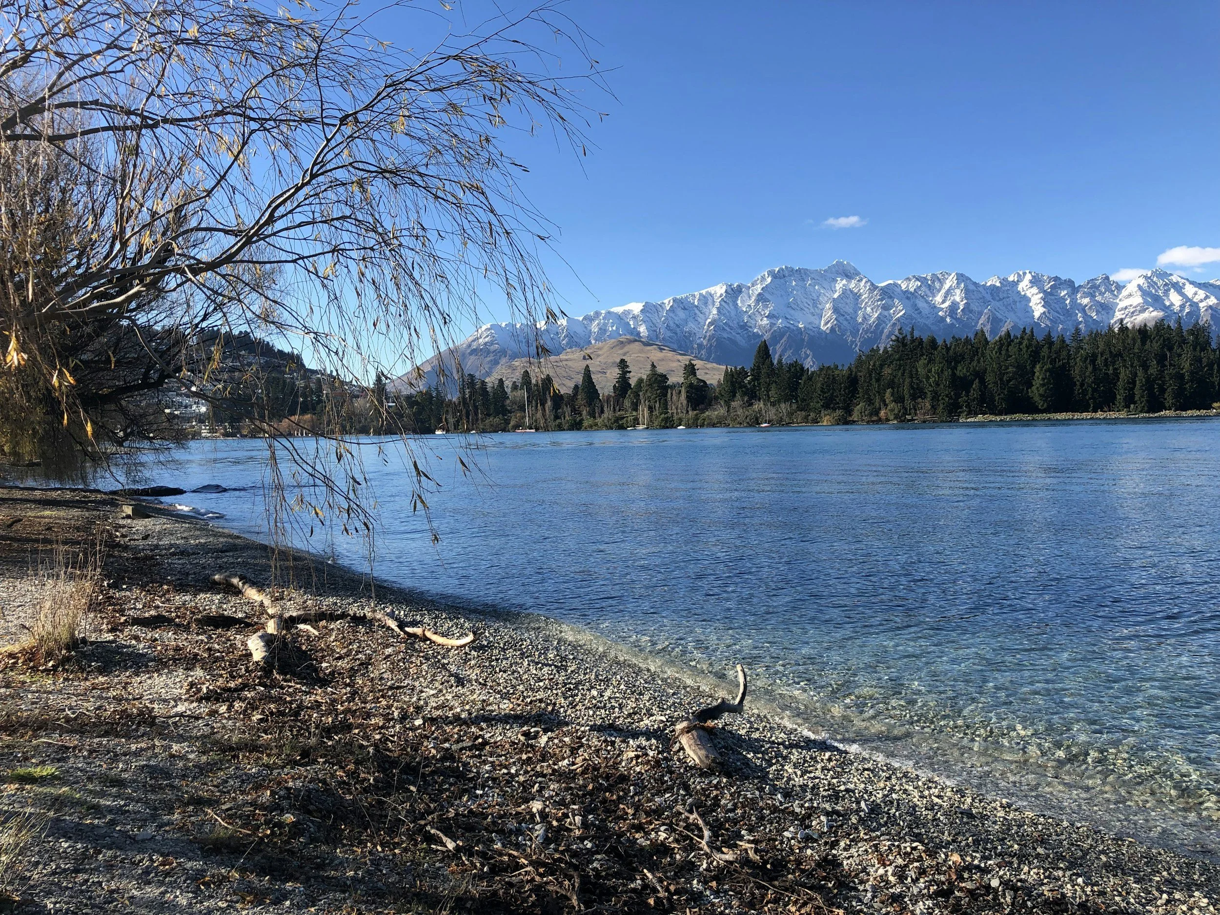 Queenstown Rental Market - Investor Overview
