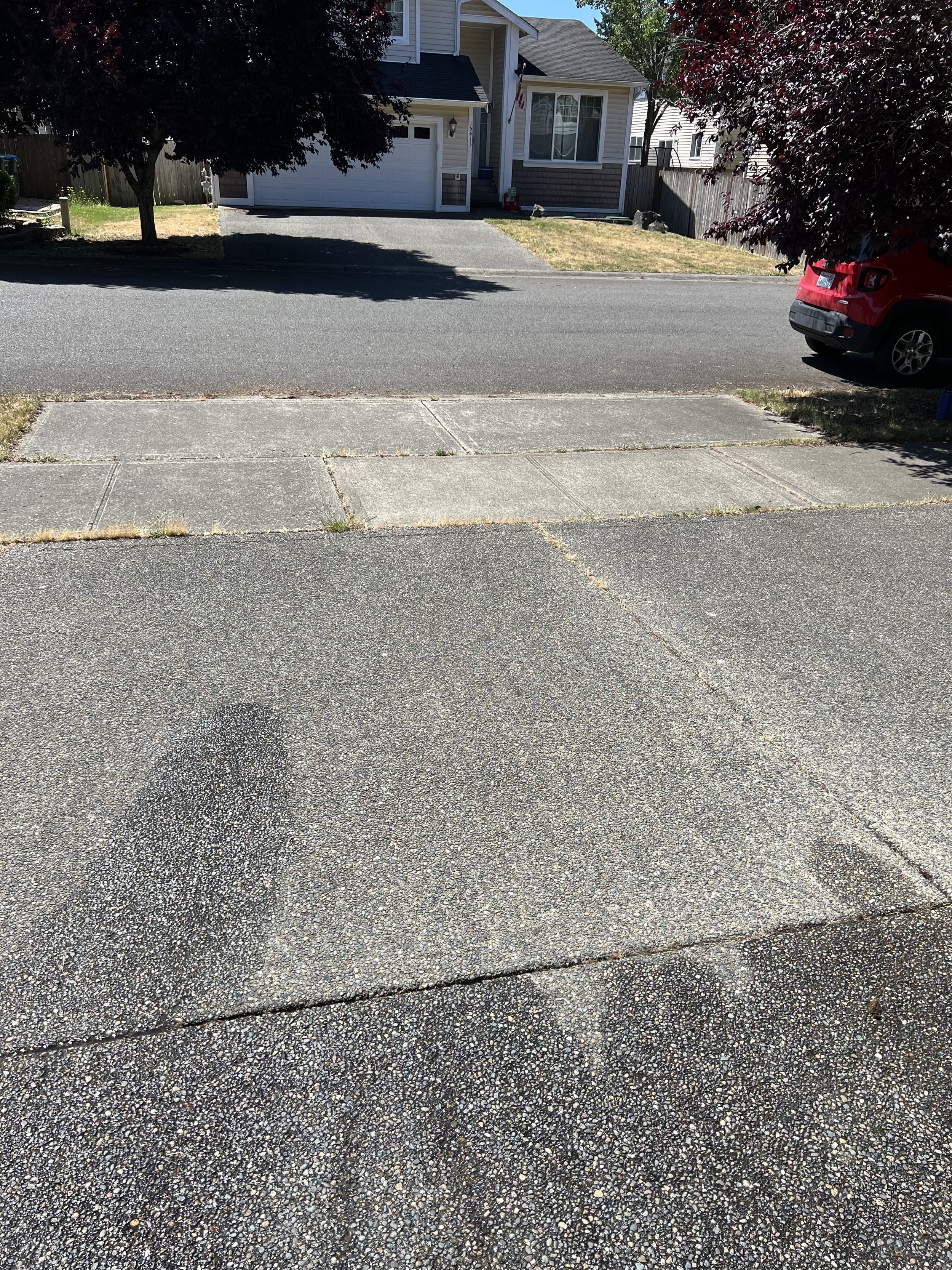 IMG_8016.jpeg