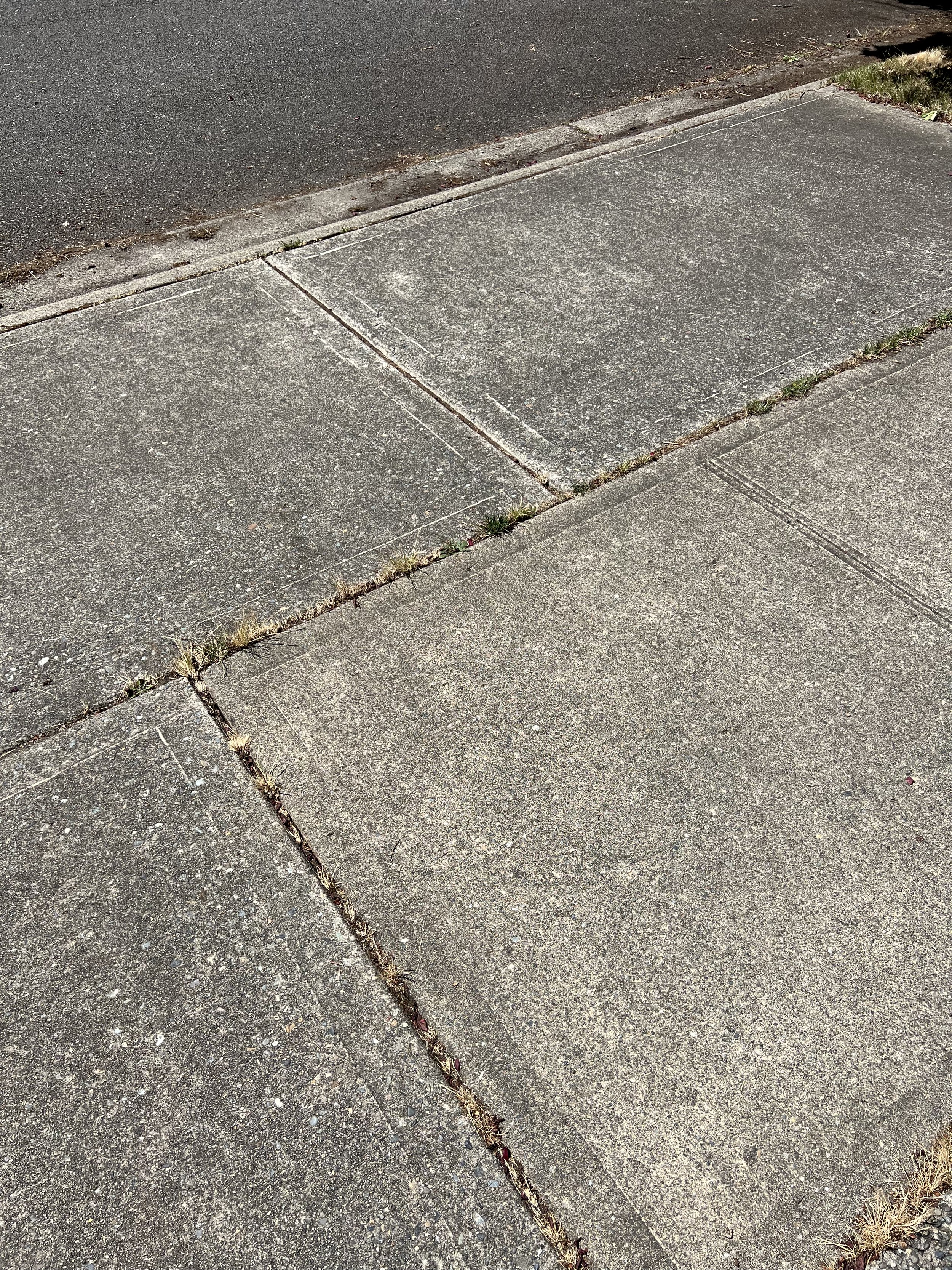 IMG_8017.jpeg