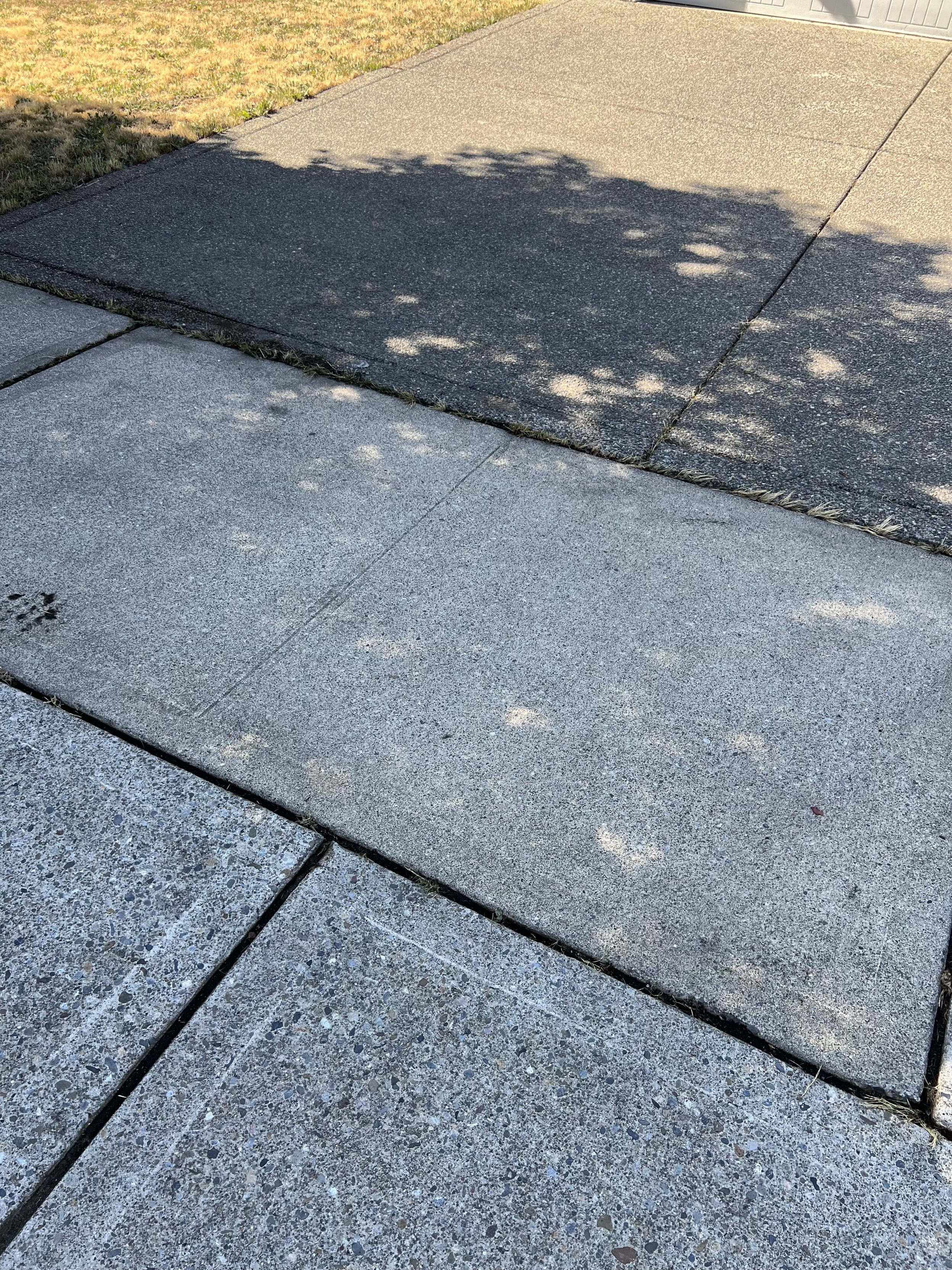IMG_8028.jpeg