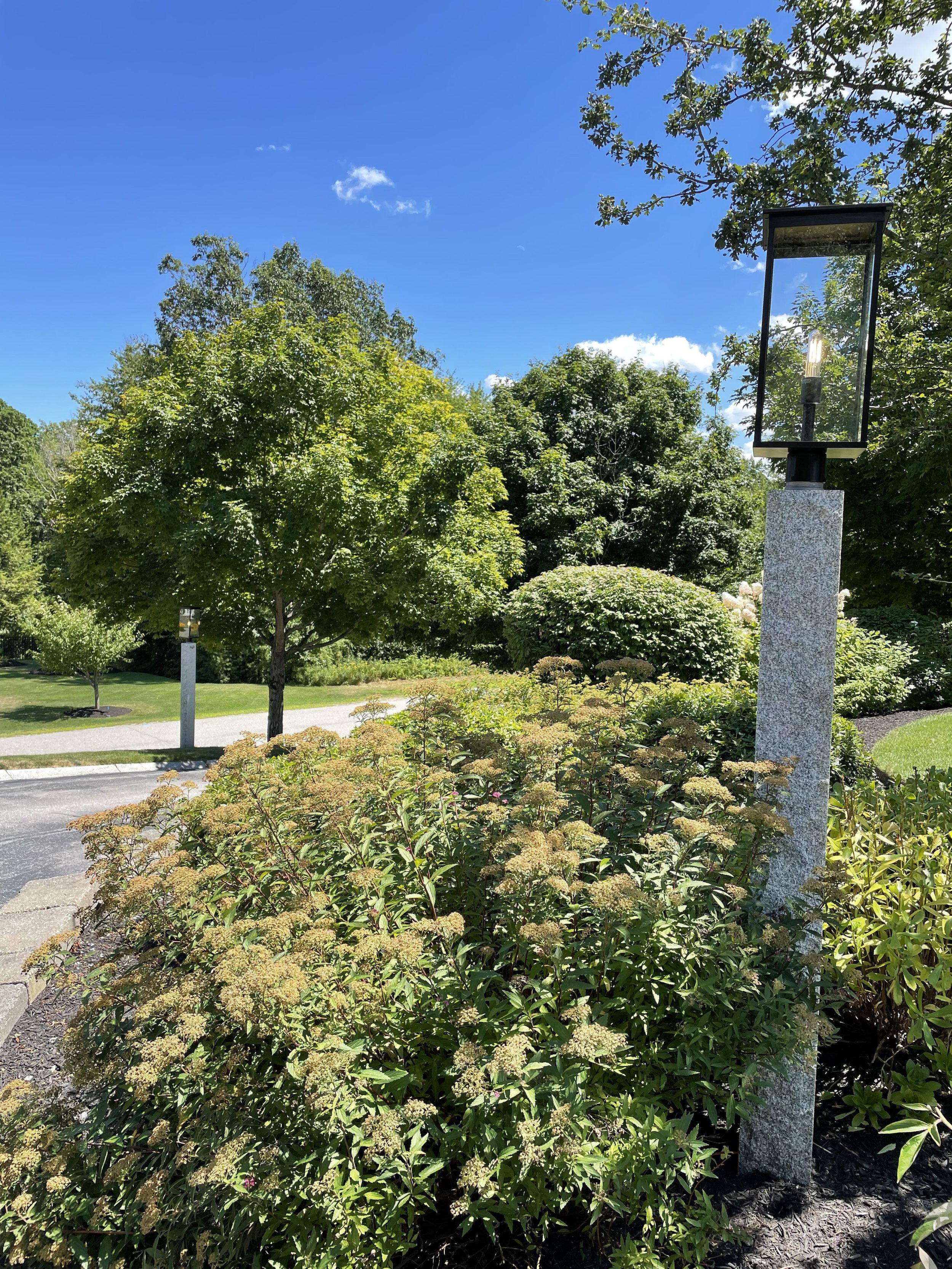 Green trees and shrubs in a landscaped garden under a bright blue sky with scattered clouds, and a modern streetlamp with a glass cover on a stone pole.