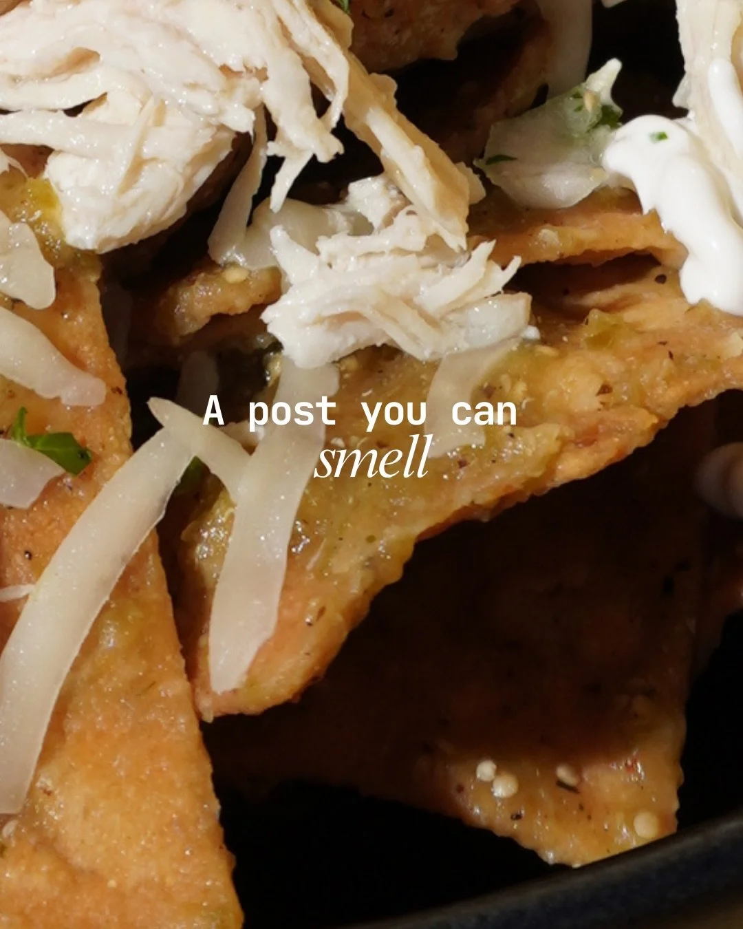 Forget 'New Car Smell.' We&rsquo;re launching 'New Taco Smell.' Notes of cilantro, lime spray, and chicharr&oacute;n. It&rsquo;s a best-seller, but the liquid version is much tastier. 🌮✨