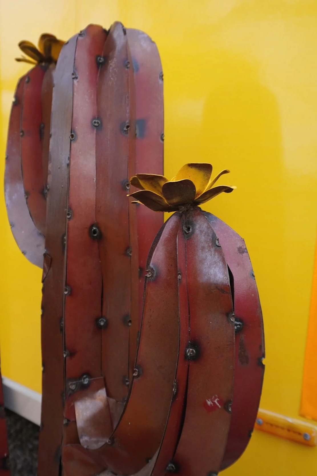 brown aluminium cactus infront of yellow background