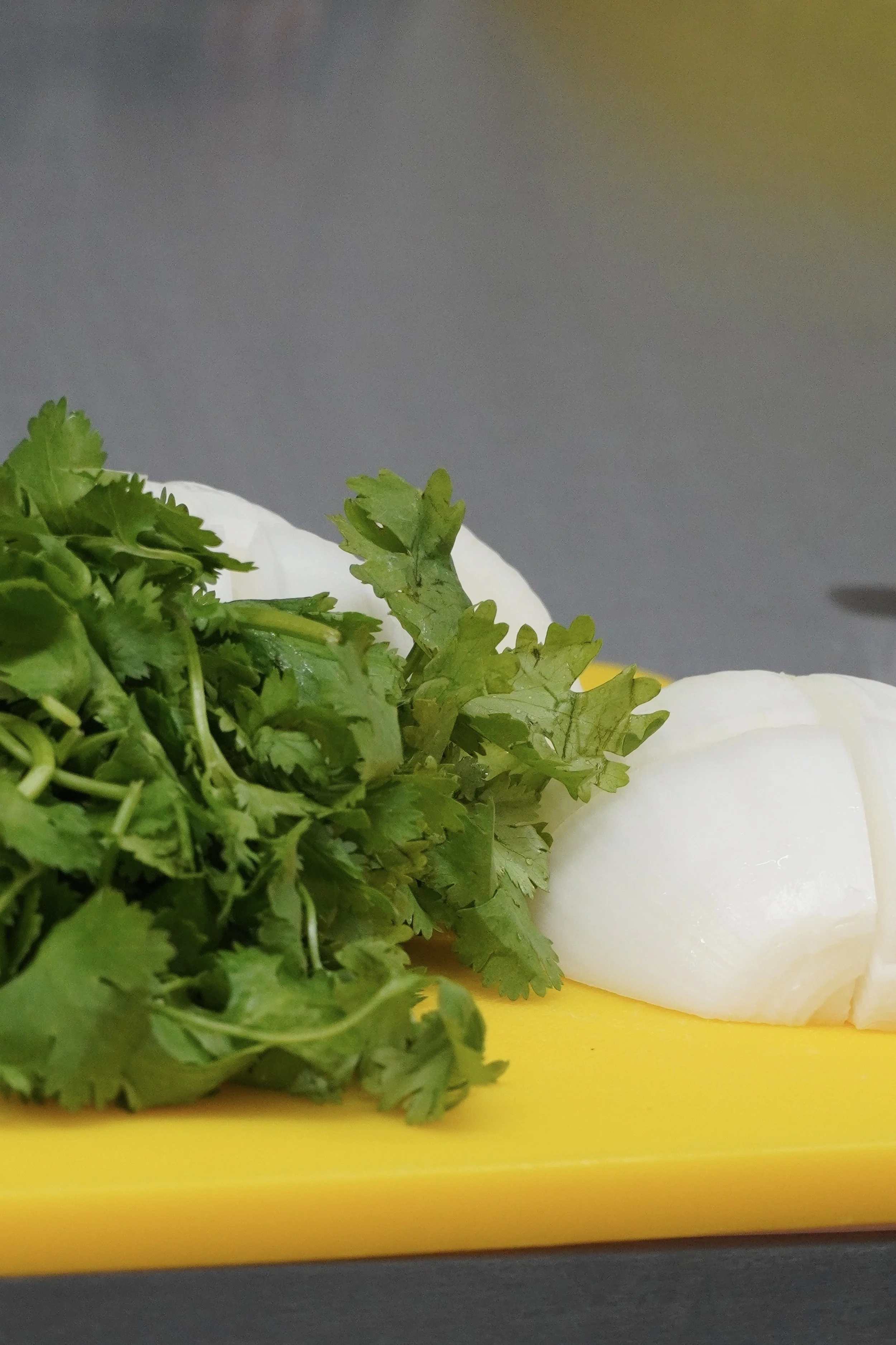 Fresh cilantro, white onion, and a yellow cutting board on a gray surface.