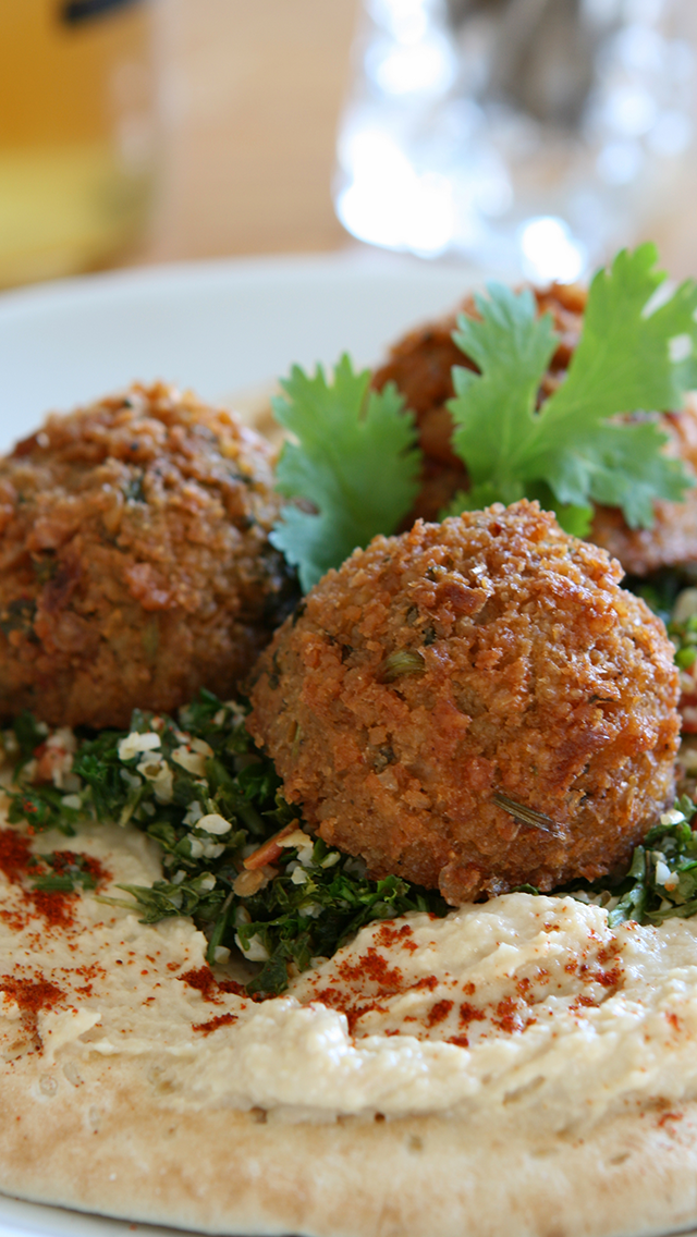 Falafel_Hummus.png