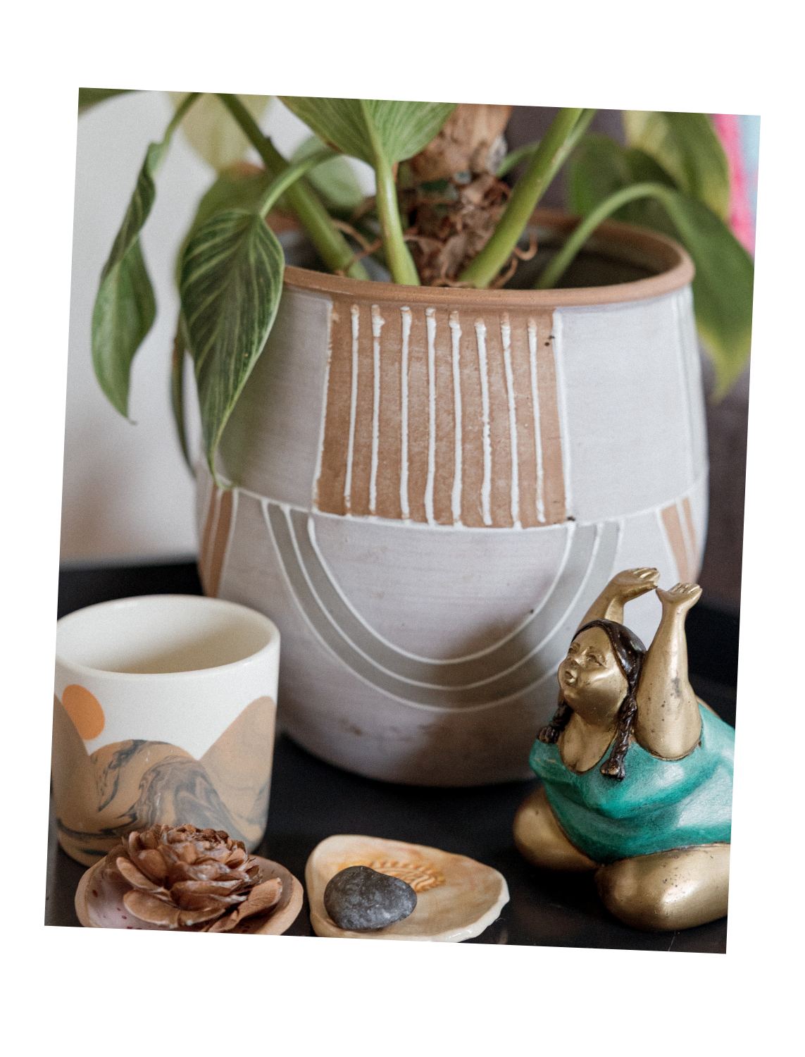 Close-up of a potted plant with green and variegated leaves, decorative seashells, a small figurine of a girl in a dance pose, and a painted ceramic cup on a black surface.