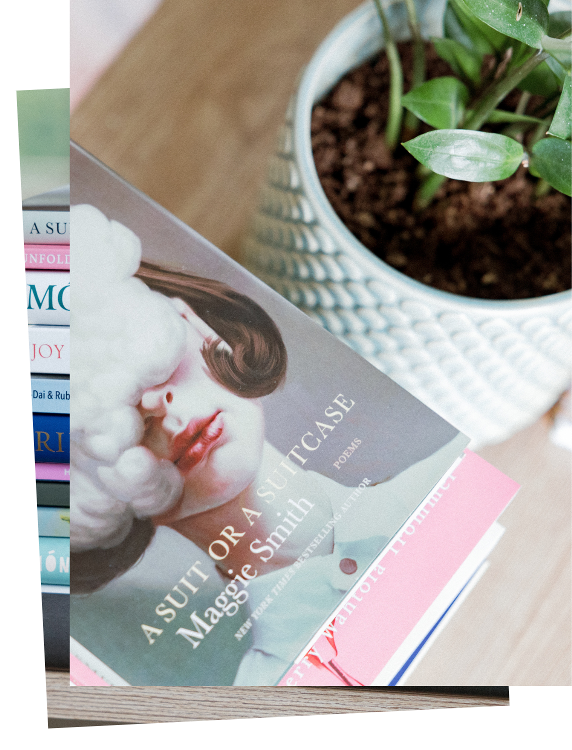 Close-up of a bookshelf and a stack of books on a table with a potted plant nearby.