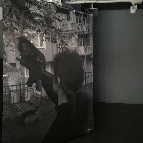 A Transmitted Dialogue, 2019