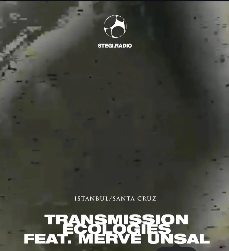 Transmission Ecologies