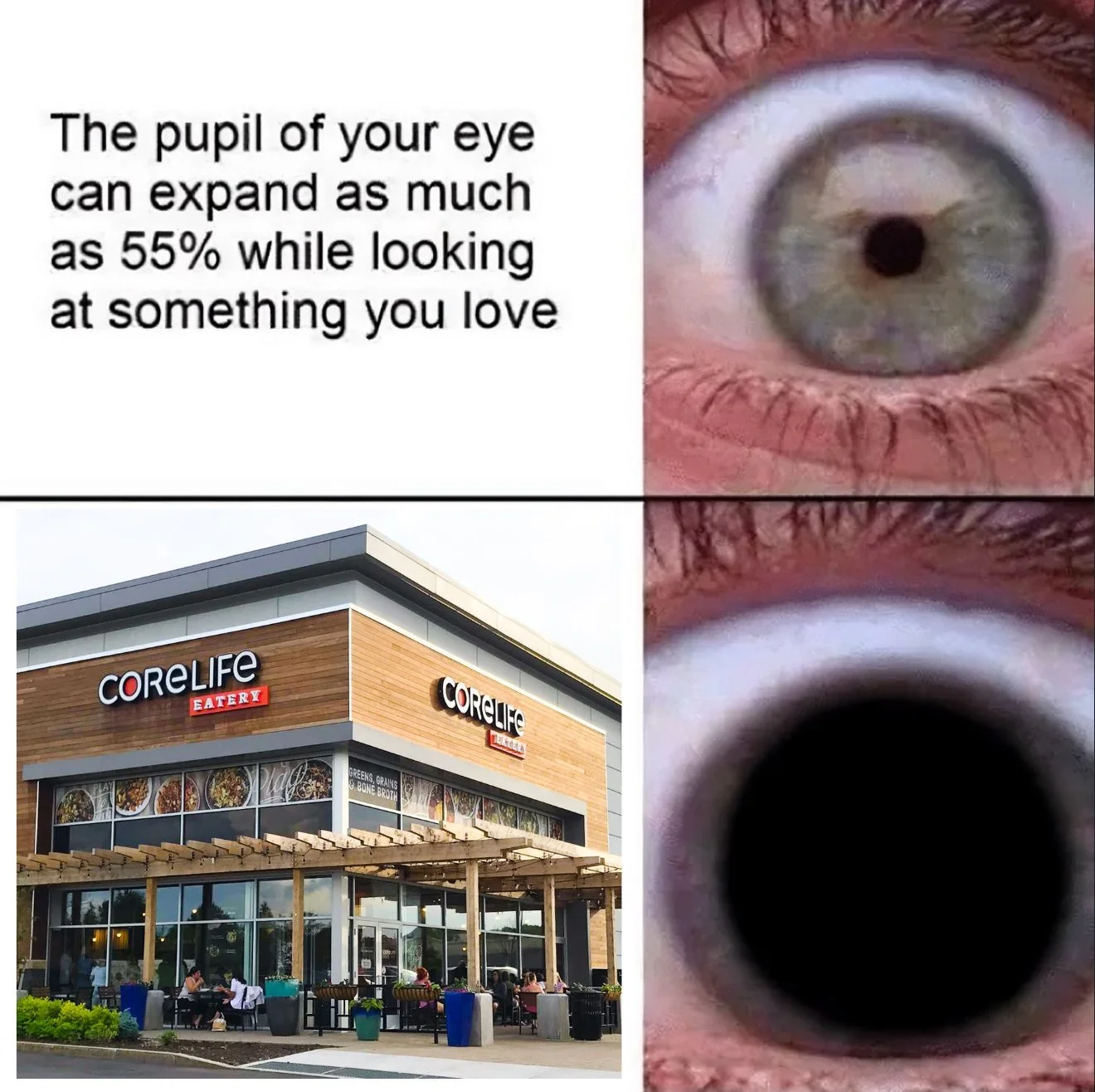 👀 When you see CoreLife Eatery&hellip; it&rsquo;s love at first bite 💚🥗
#CoreLifeCravings #EatCleanLoveLife