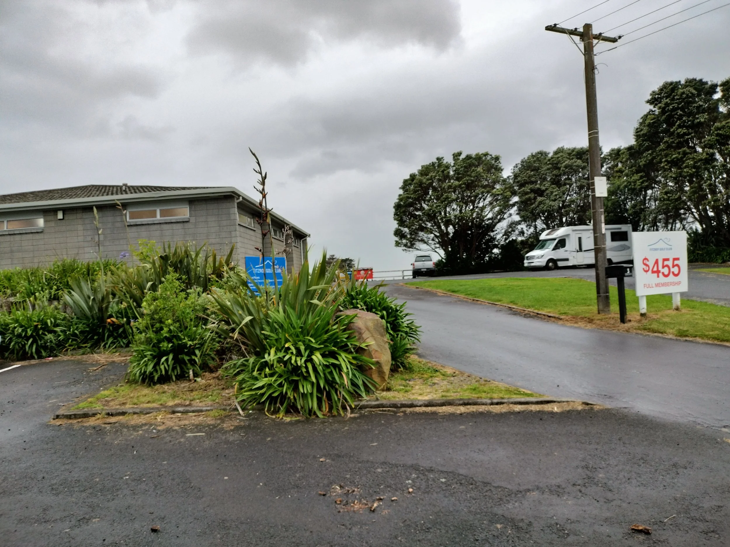 Before the garden was overtaken by weeds