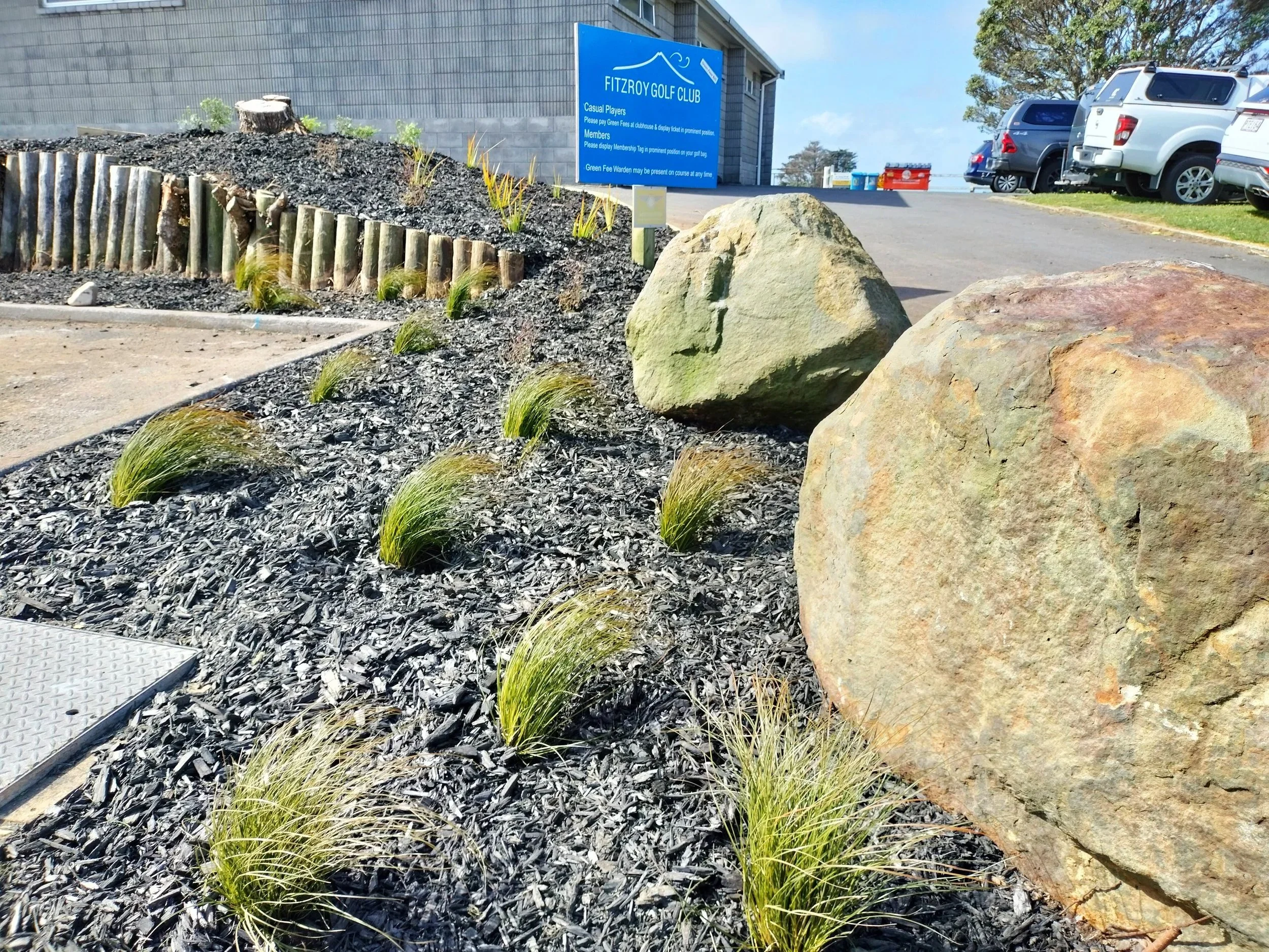 Garden renovation for a sports club features low maintenance NZ native plants