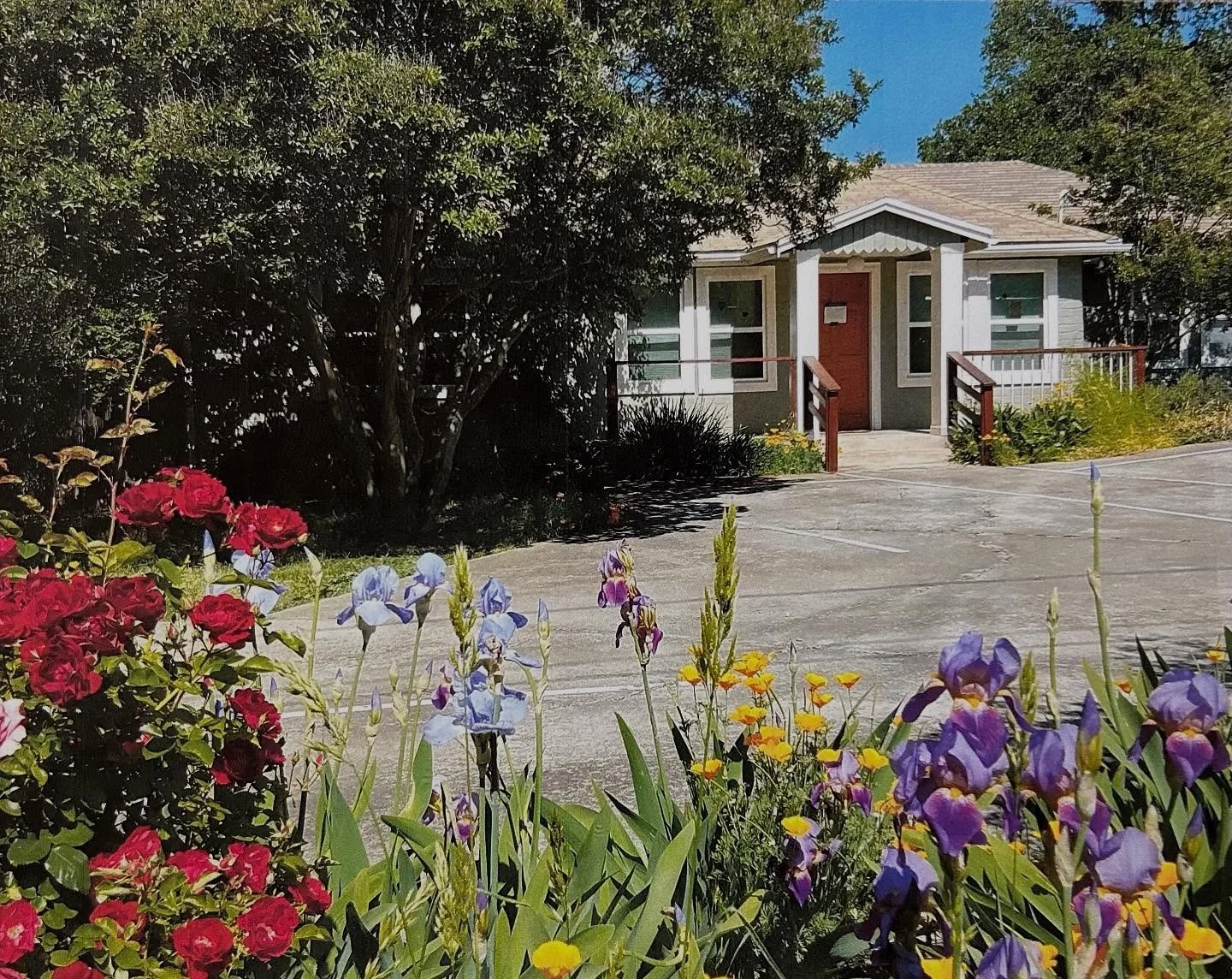 🌿✨ I am so thrilled to share that I became the owner of Meadow View Montessori (formerly Rocklin Montessori) this summer!

The first picture, taken one spring a few years ago, captures the quaintness and beauty of the school that first captured my h