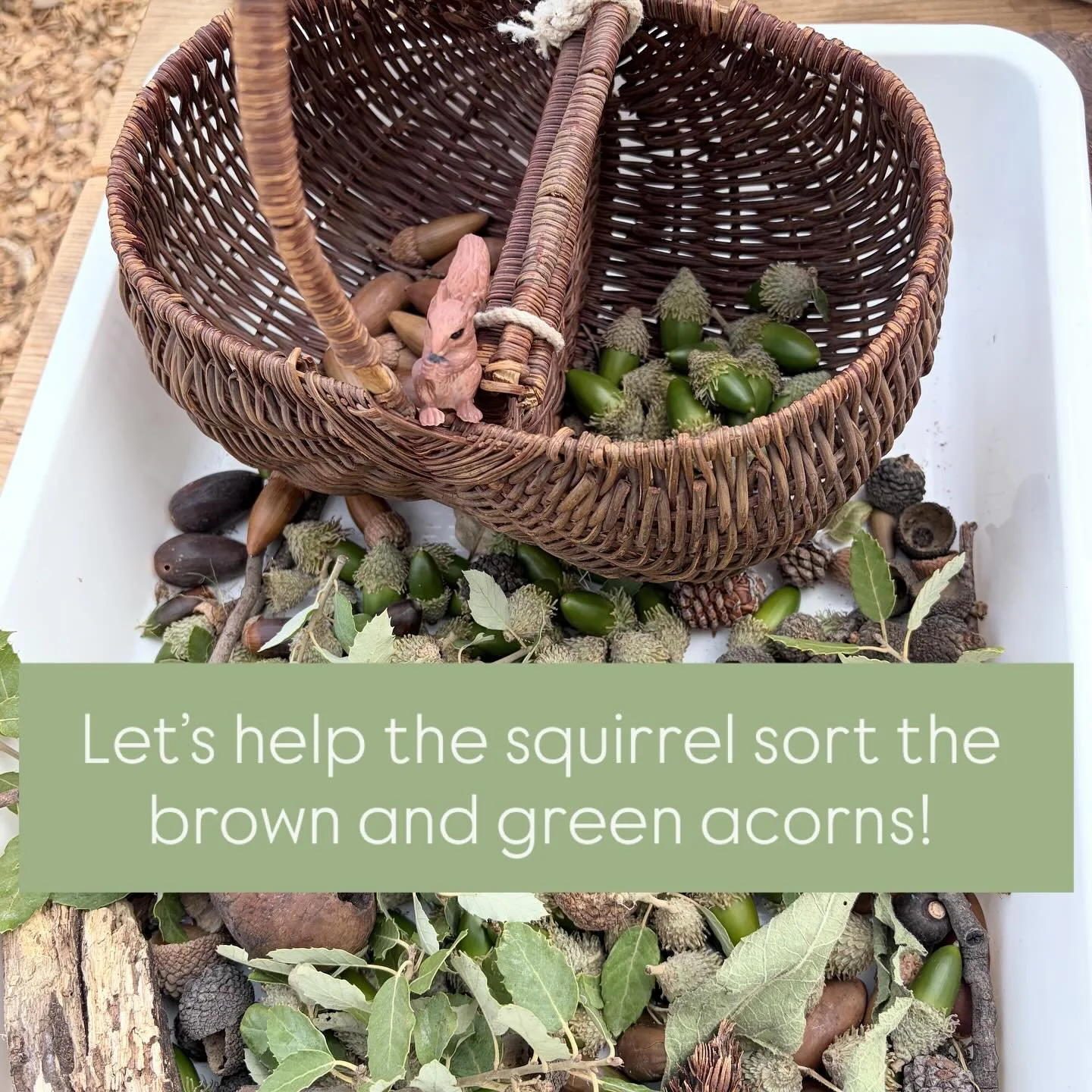 Outdoor learning trays this week for friends to explore, think, and discover through play! 🐿️🍂🐑🍋🦊