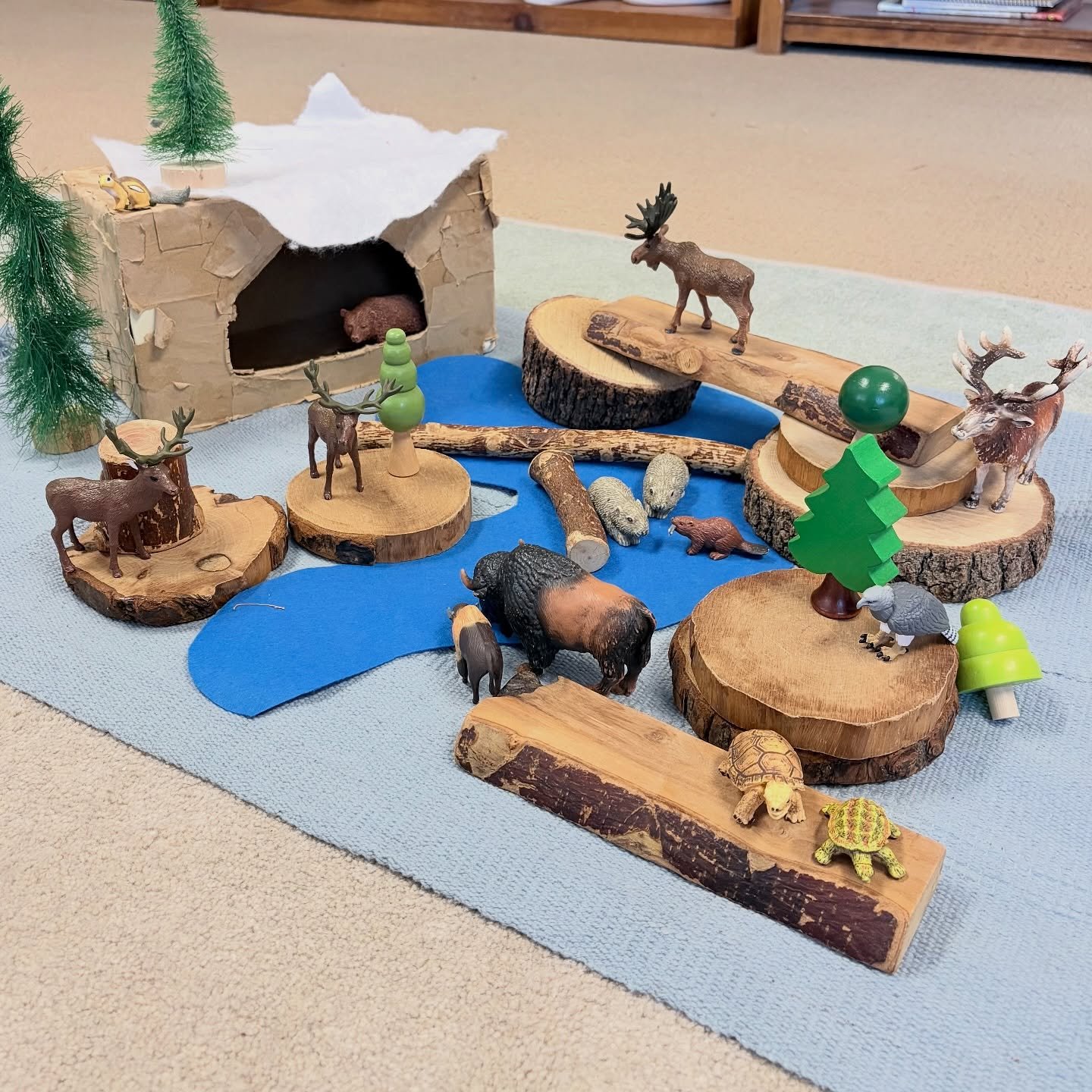 Ms. Dorothy guided the children in creating a habitat to begin our study of North American animals and how they get ready for winter&mdash;some migrate, some hibernate, and others adapt in incredible ways. 🐻🍂