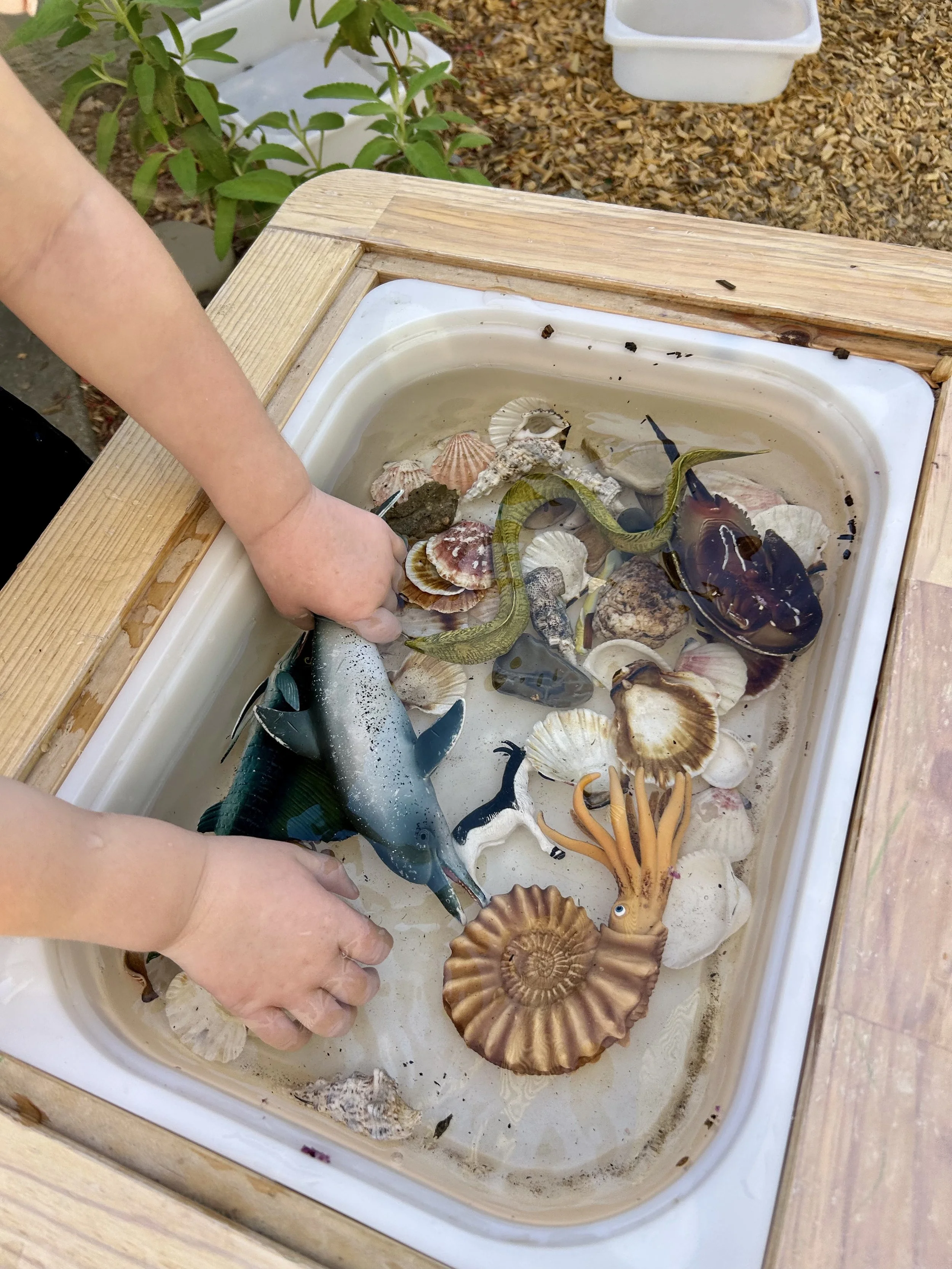 Child exploring under the sea themed objects at water table