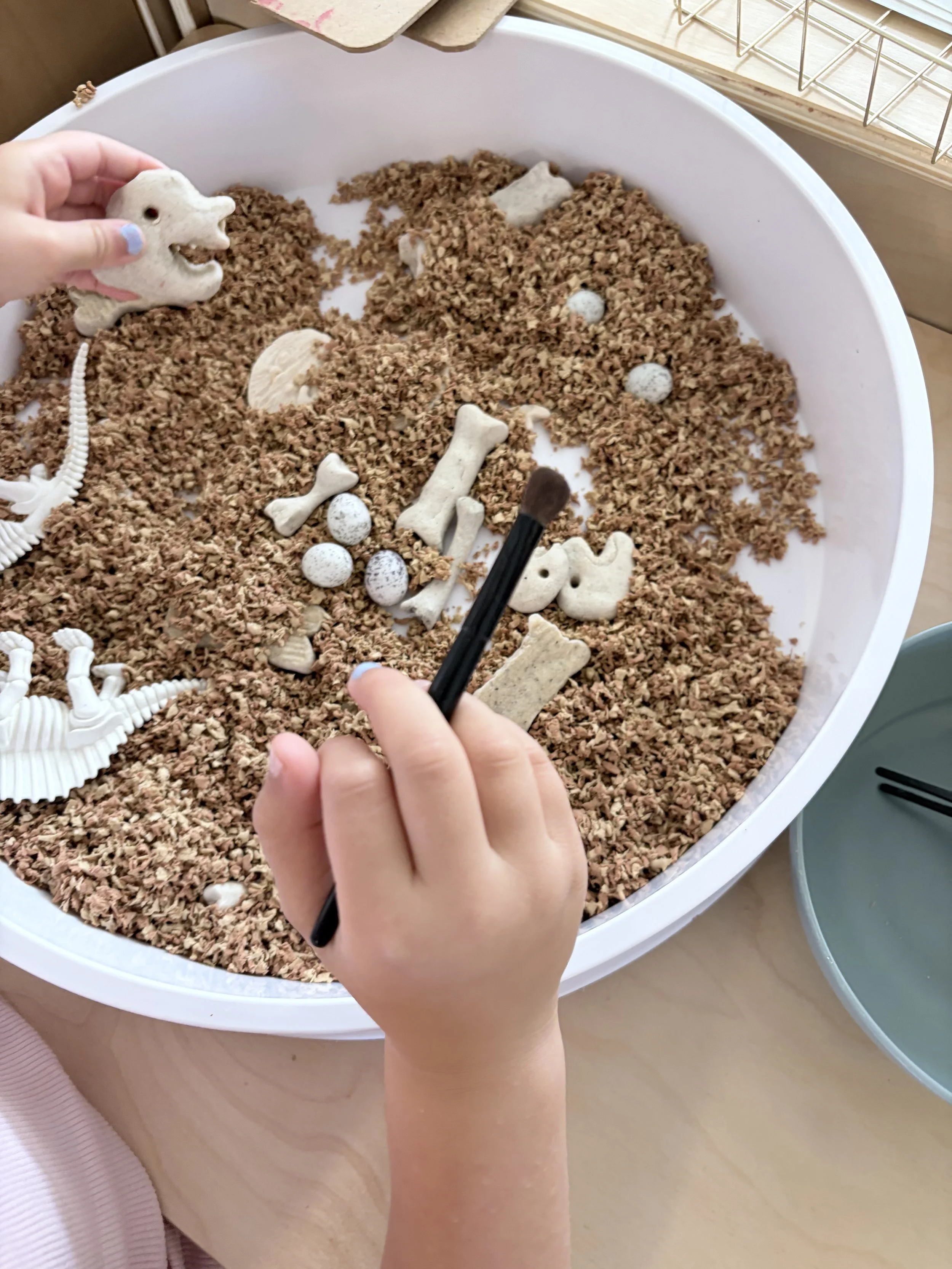 brushing for fossils like a paleontologist