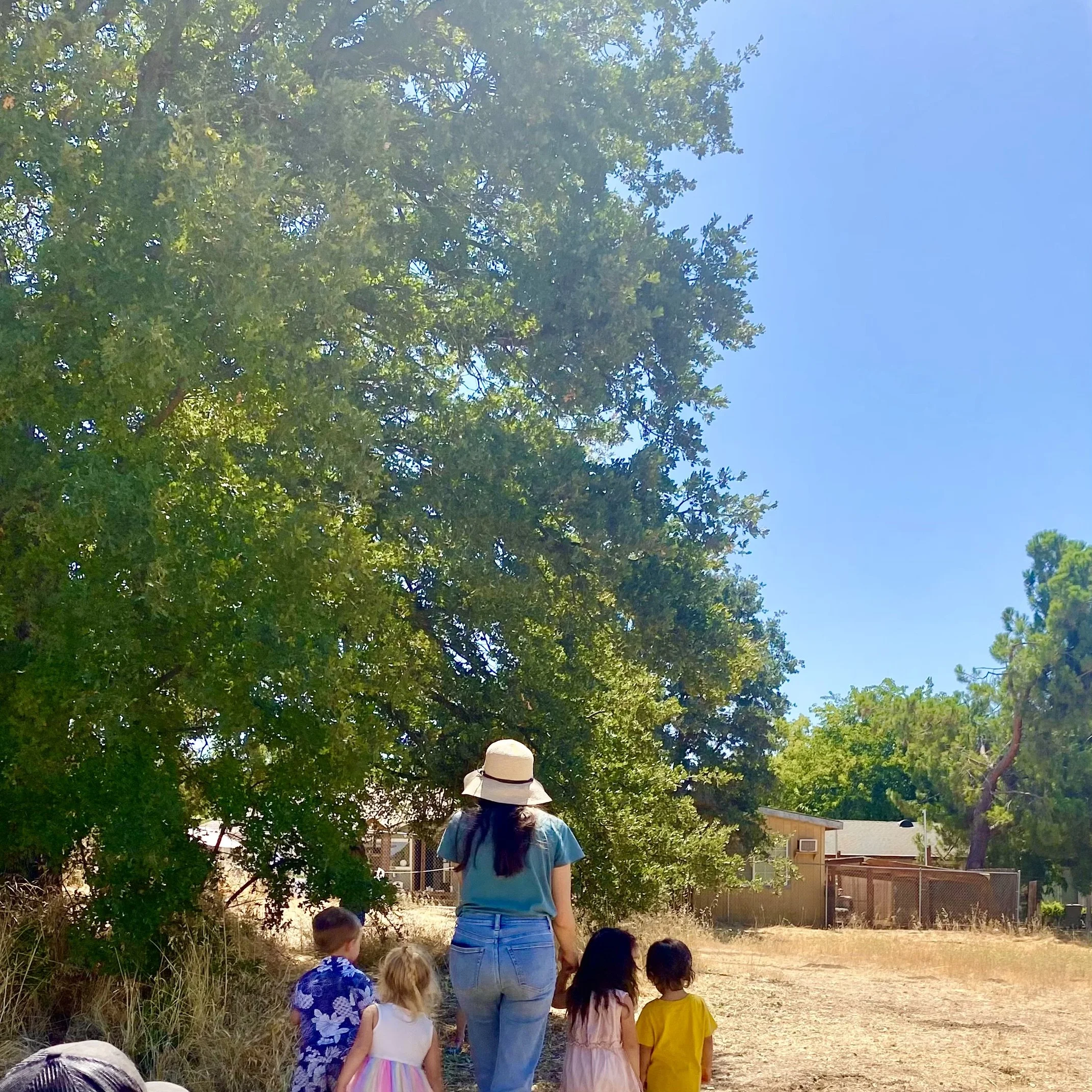 Children and Teacher walking in the school's Meadow