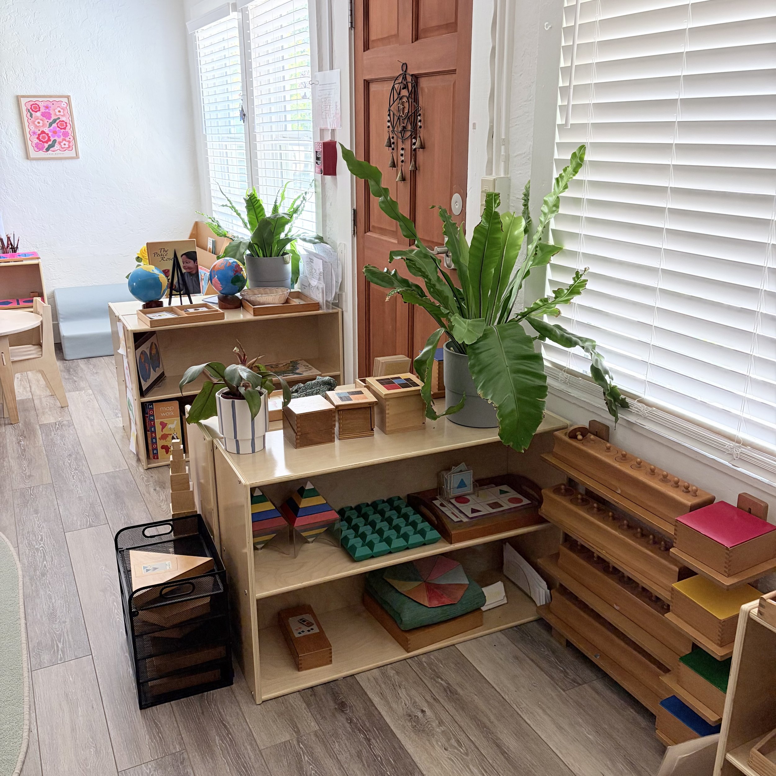 Sensorial Shelves