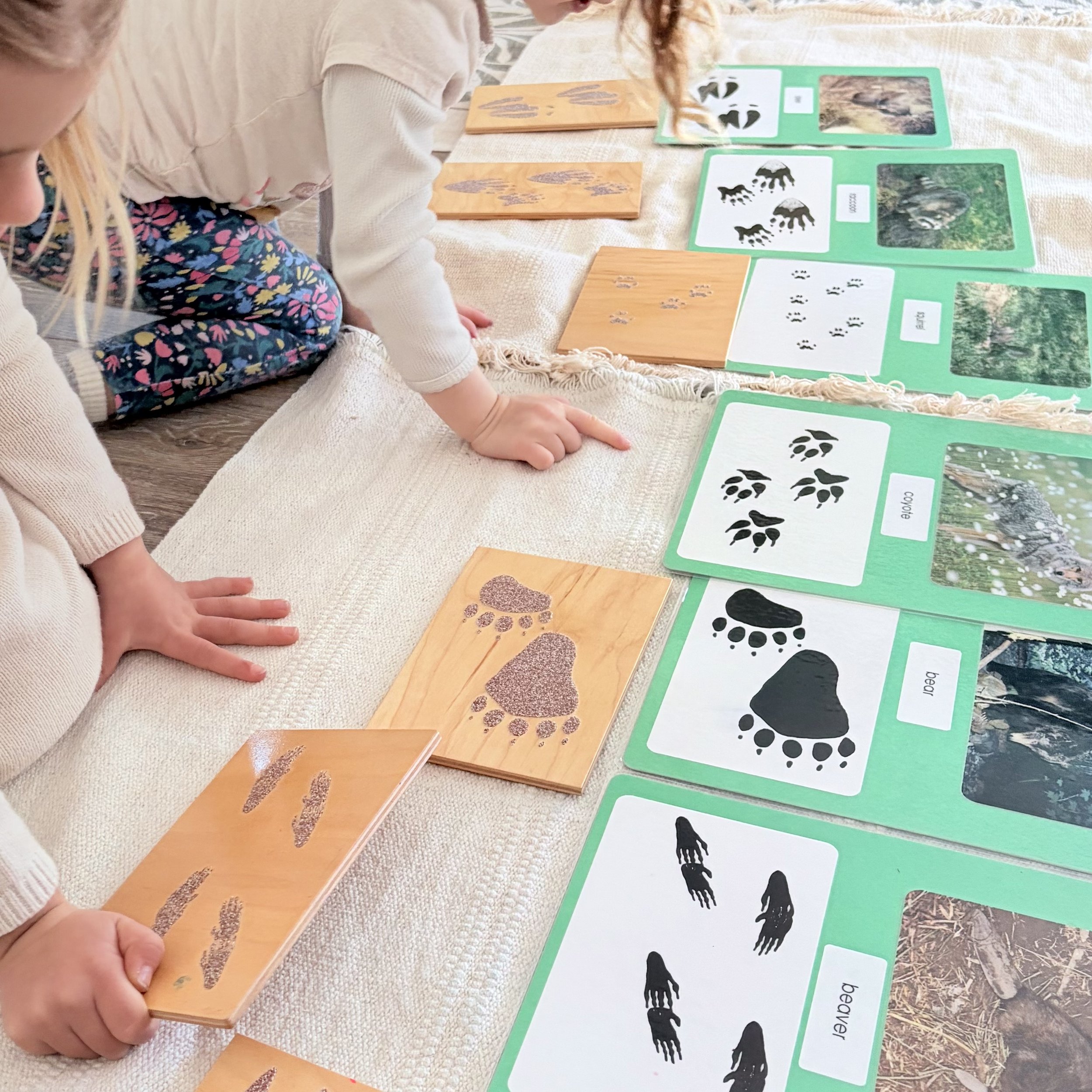 children matching animal tracks
