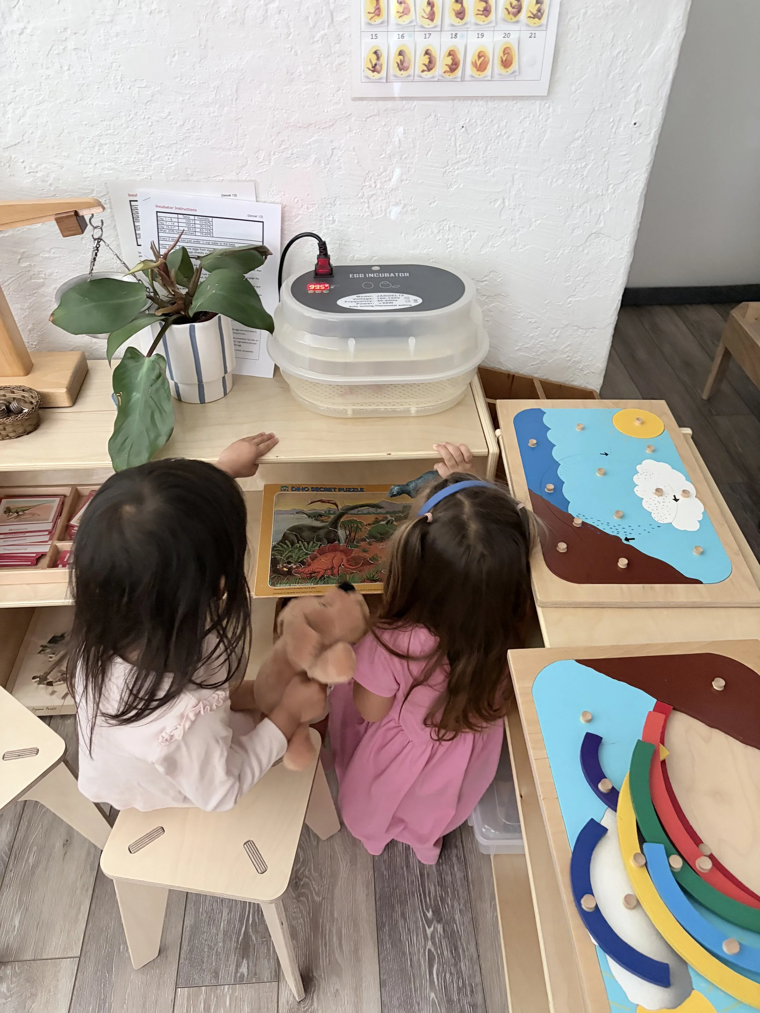 children looking at eggs hatching in an incubator