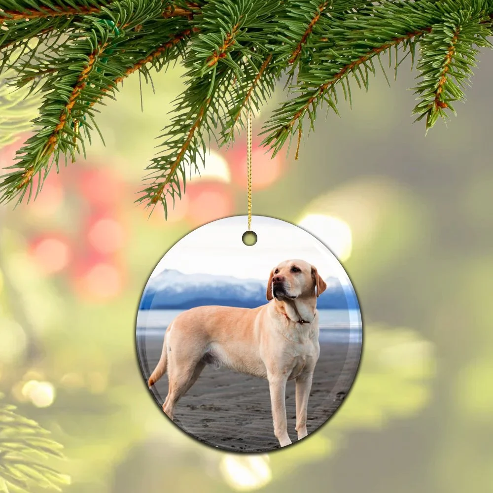 ChristmasOrnament-Mockup.jpg