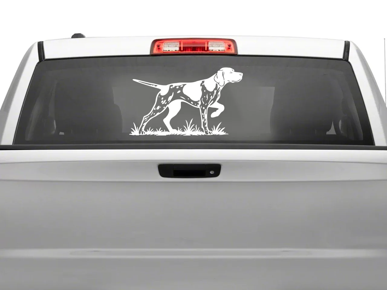 DECAL-pointerspotted.jpg