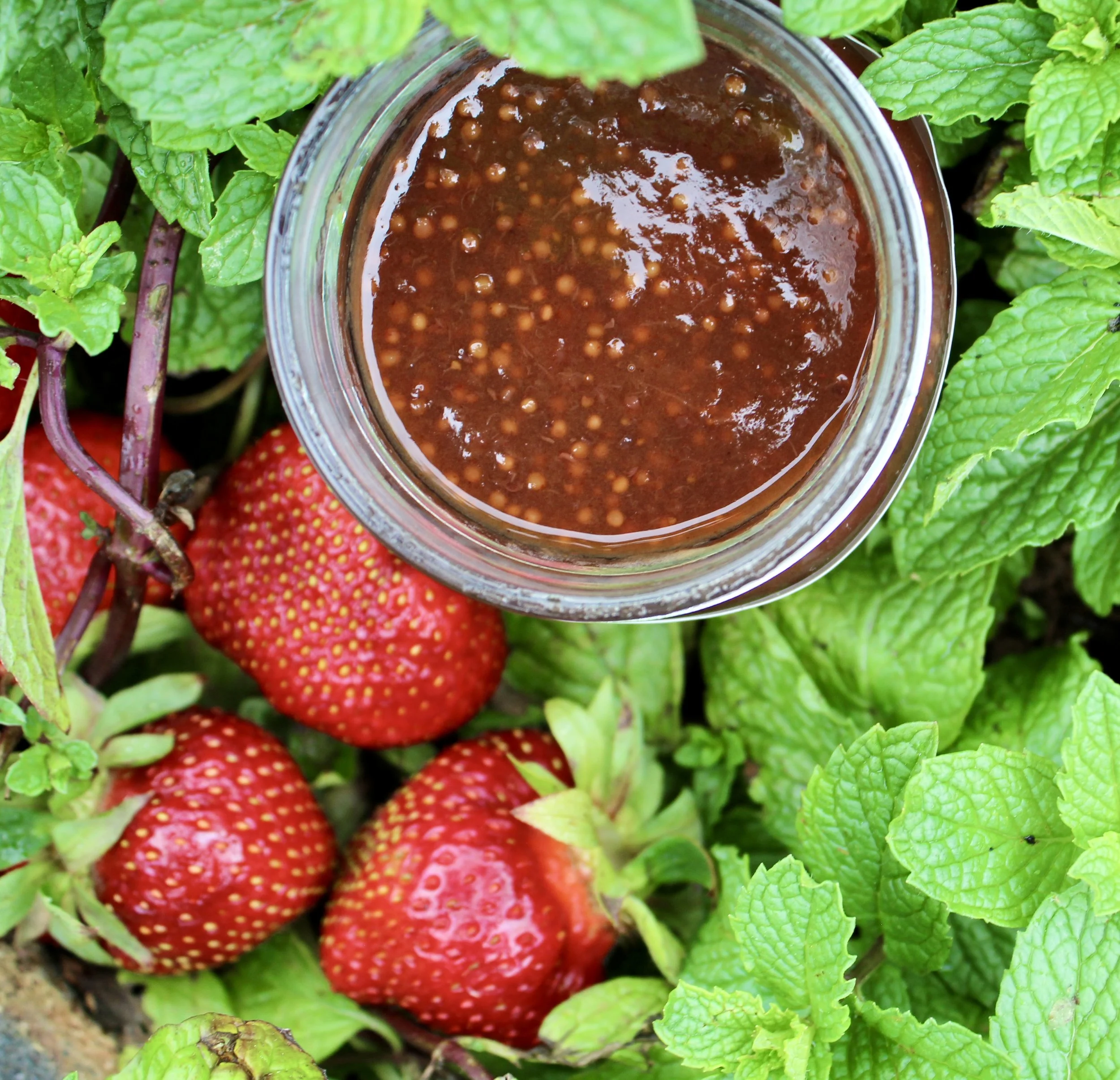 Strawberry Mint Mostarda